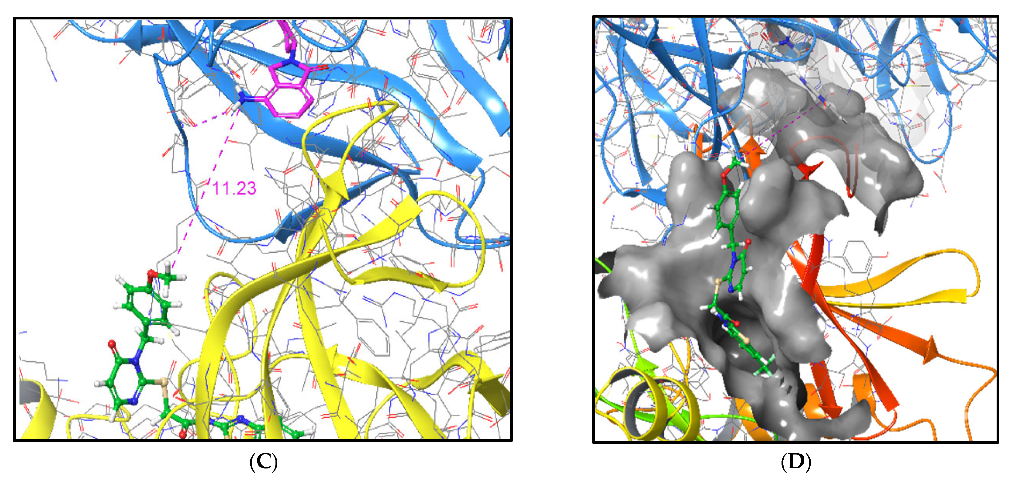 Molecules 30 04452 g002b Molecules 30 04452 g002b
