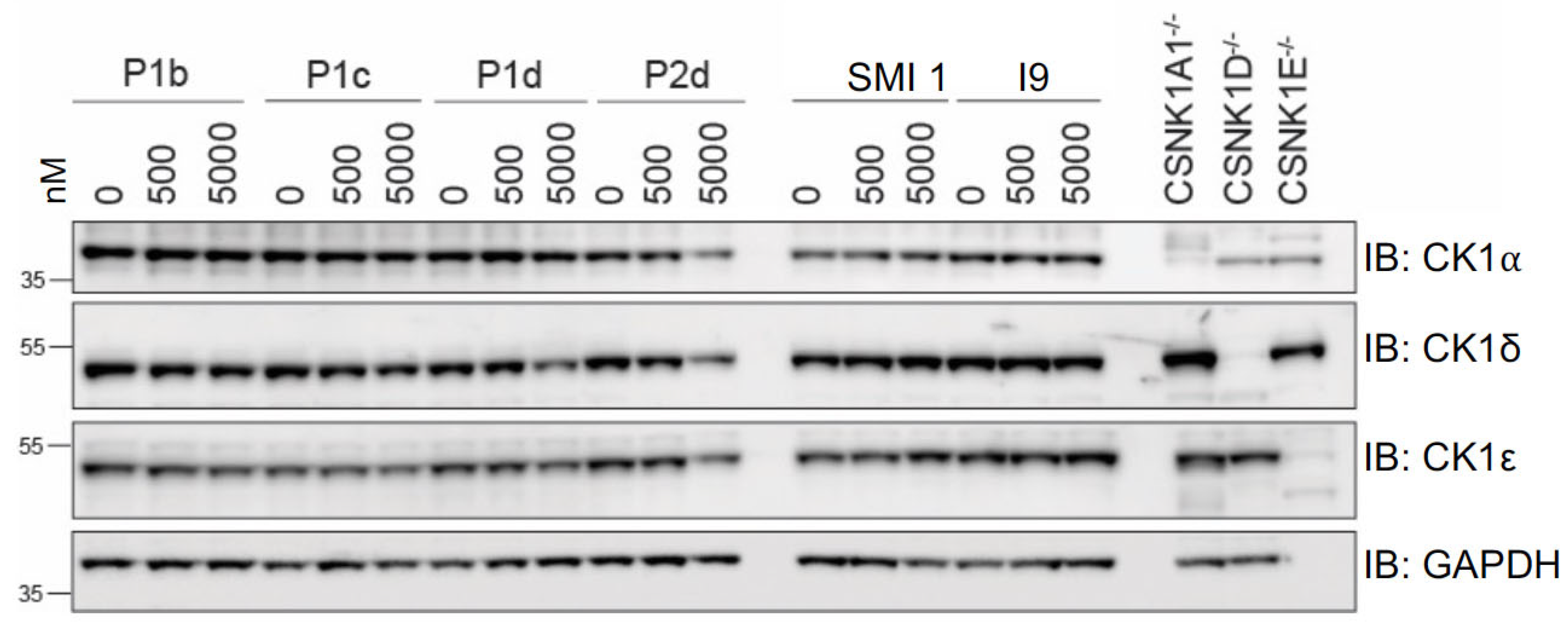 Molecules 30 04452 g004 Molecules 30 04452 g004