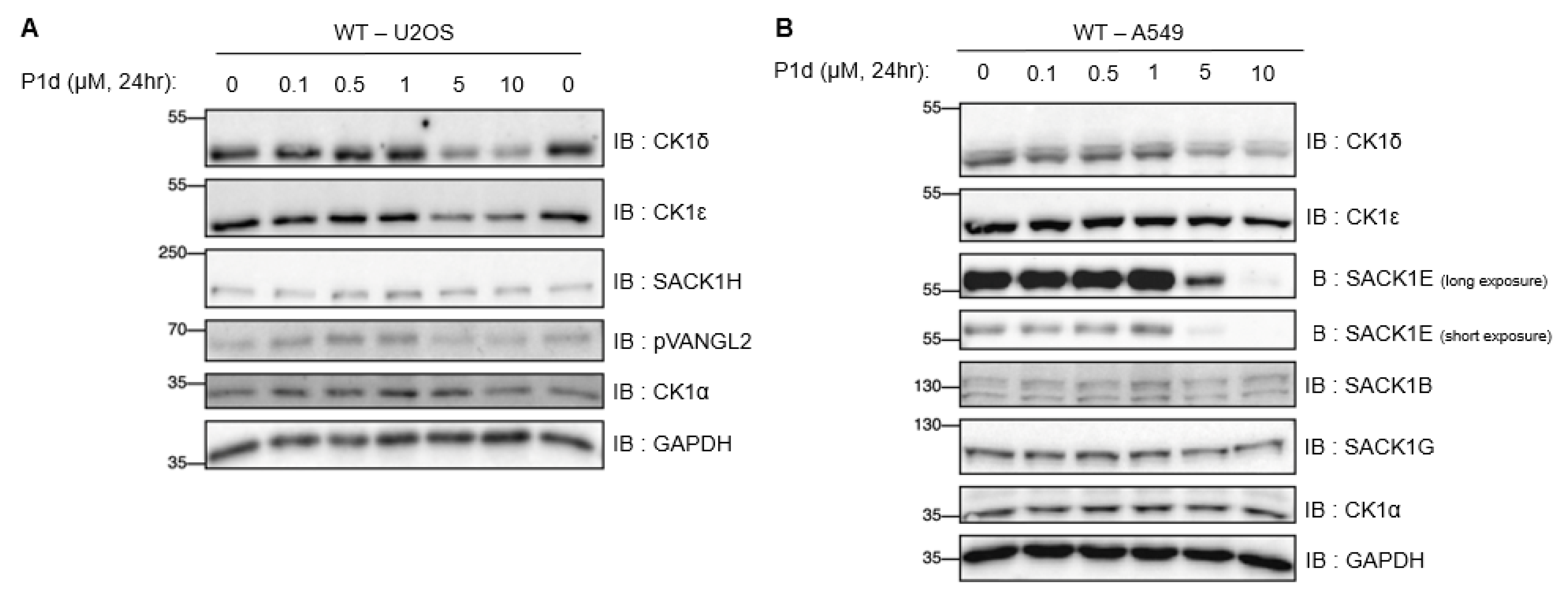Molecules 30 04452 g007 Molecules 30 04452 g007