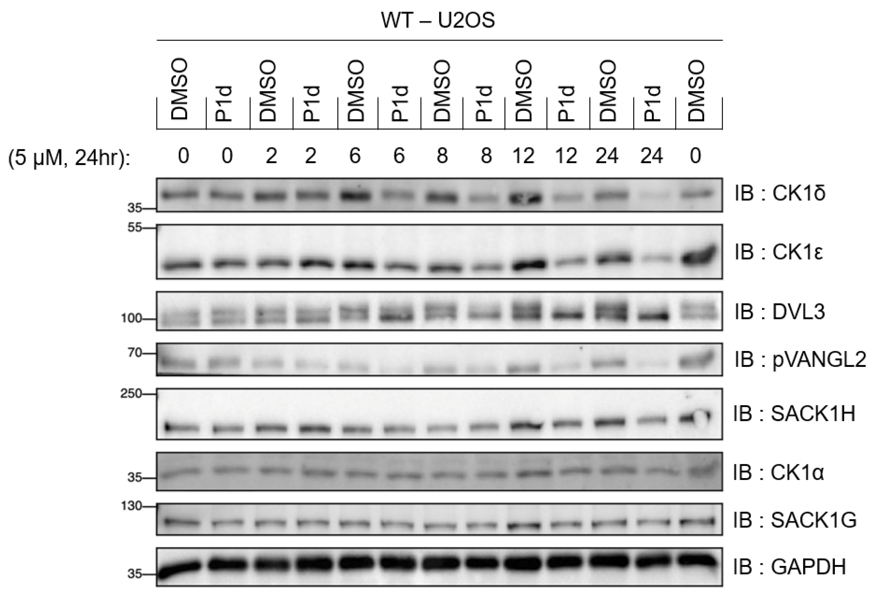 Molecules 30 04452 g008 Molecules 30 04452 g008
