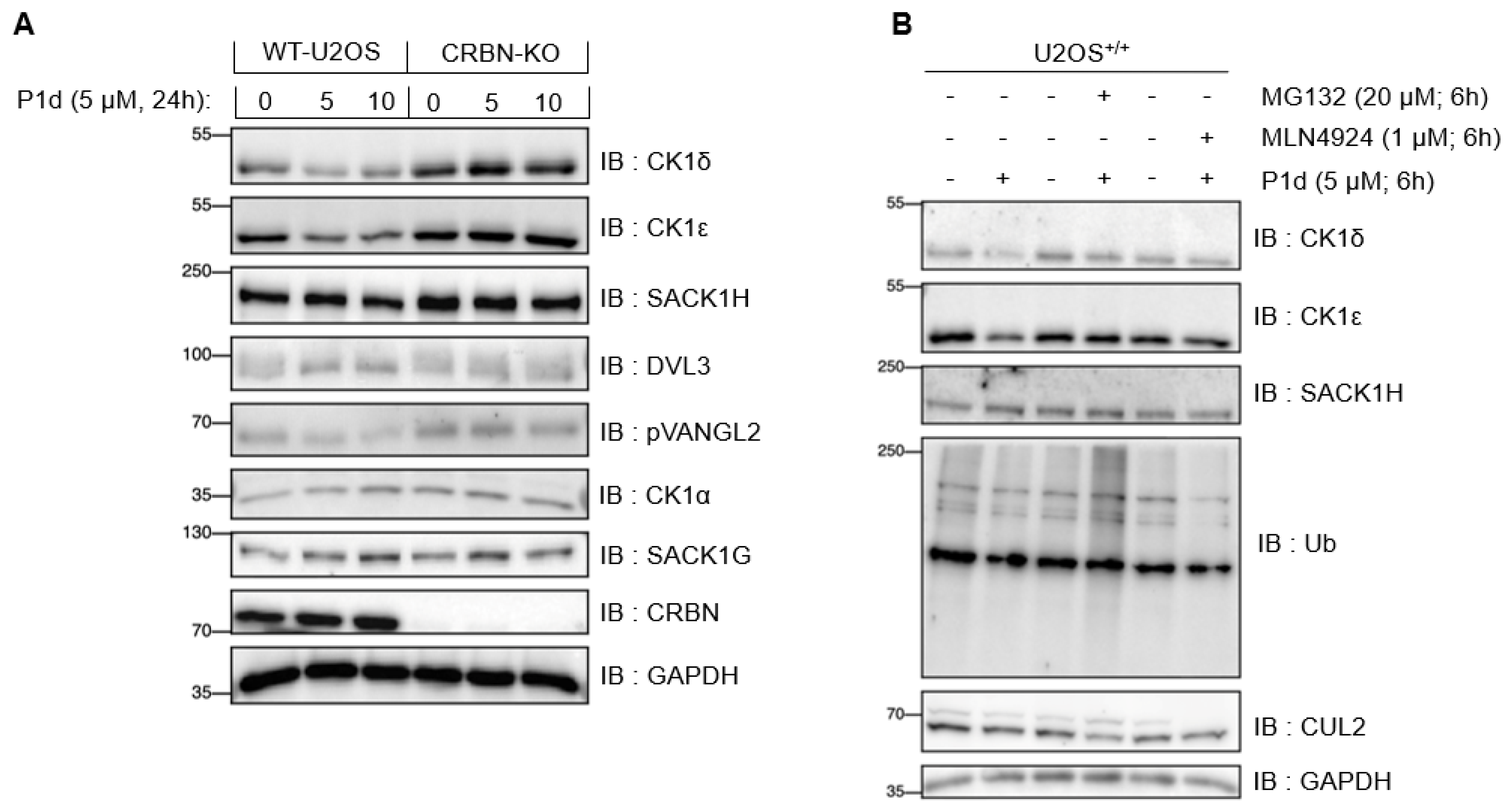 Molecules 30 04452 g009 Molecules 30 04452 g009