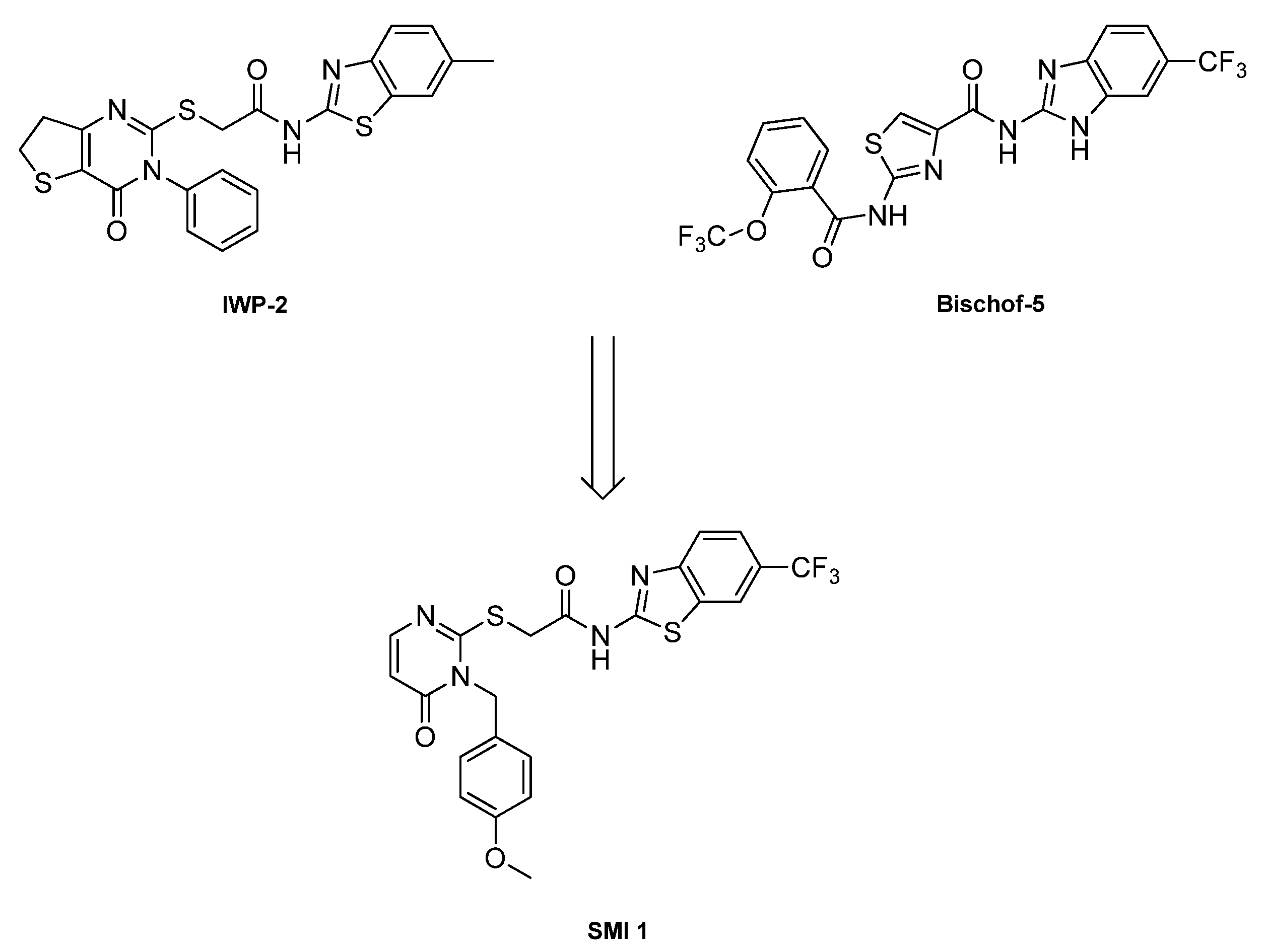 Molecules 30 04452 sch002 Molecules 30 04452 sch002