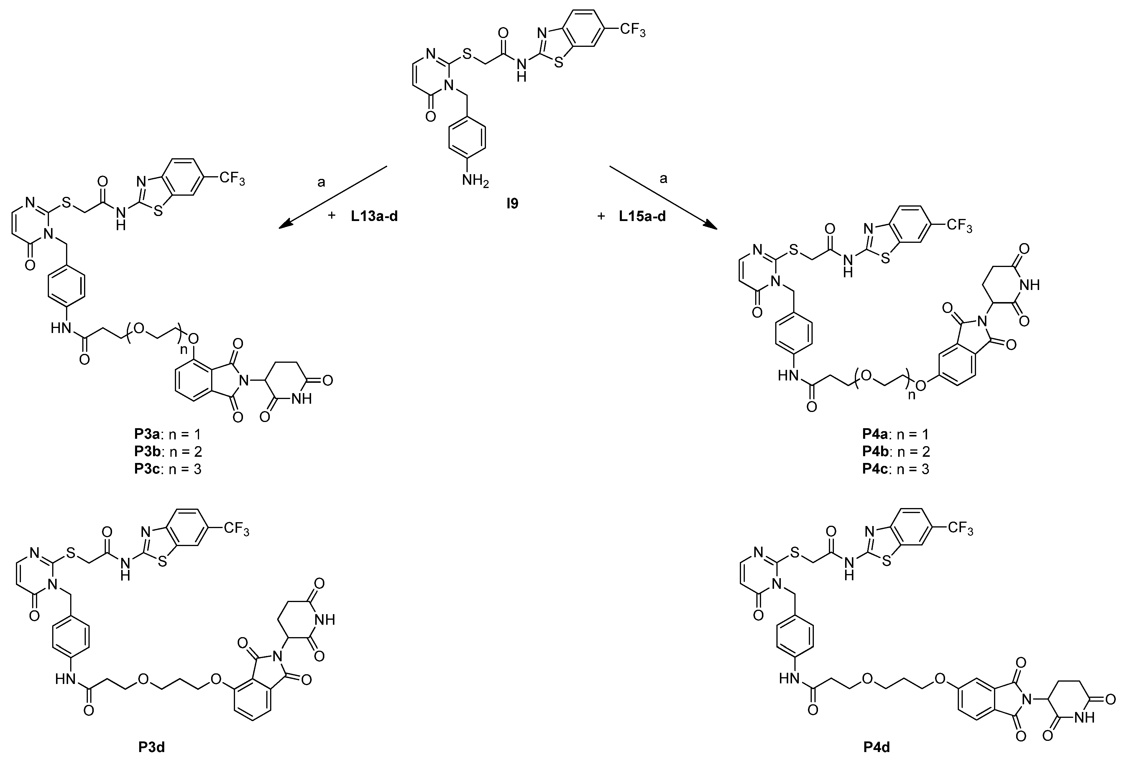 Molecules 30 04452 sch006 Molecules 30 04452 sch006