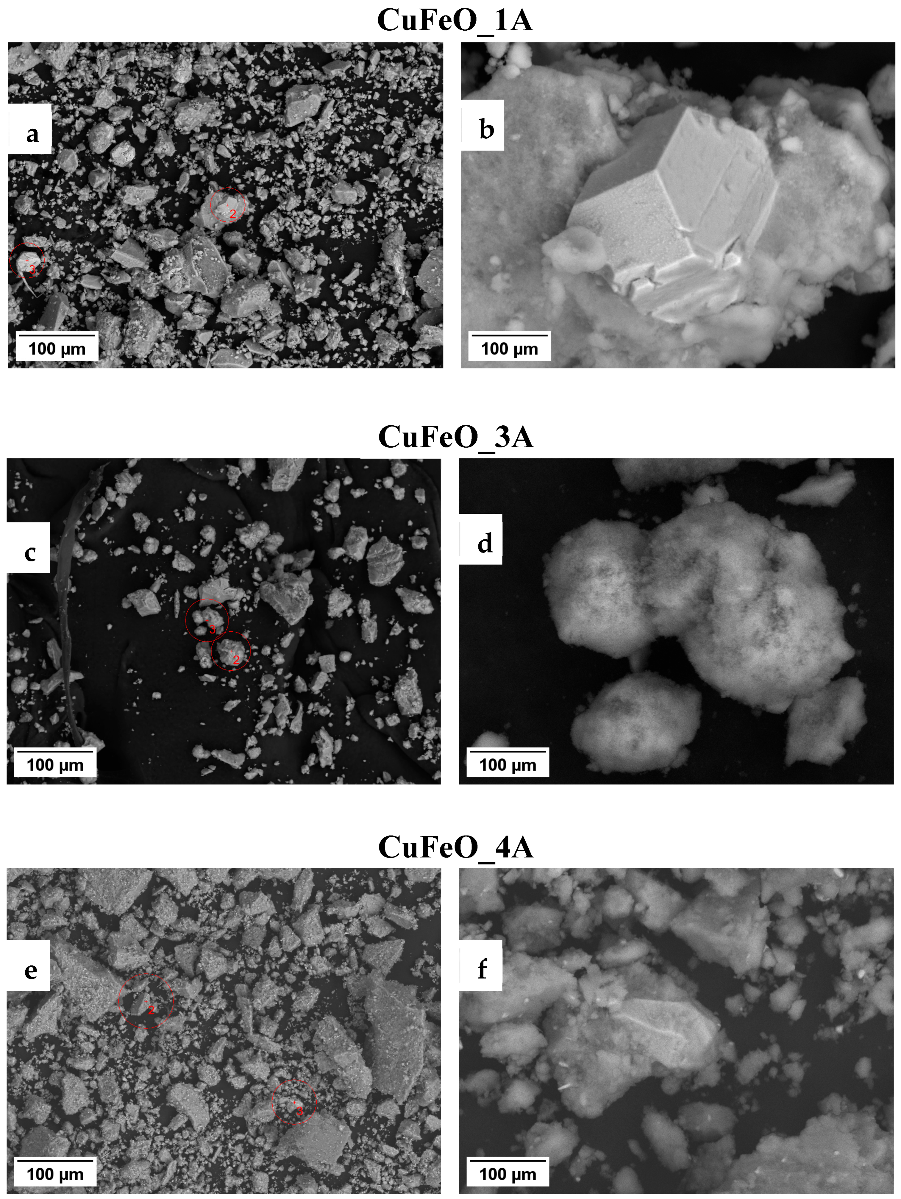 Molecules 30 04454 g004 Molecules 30 04454 g004