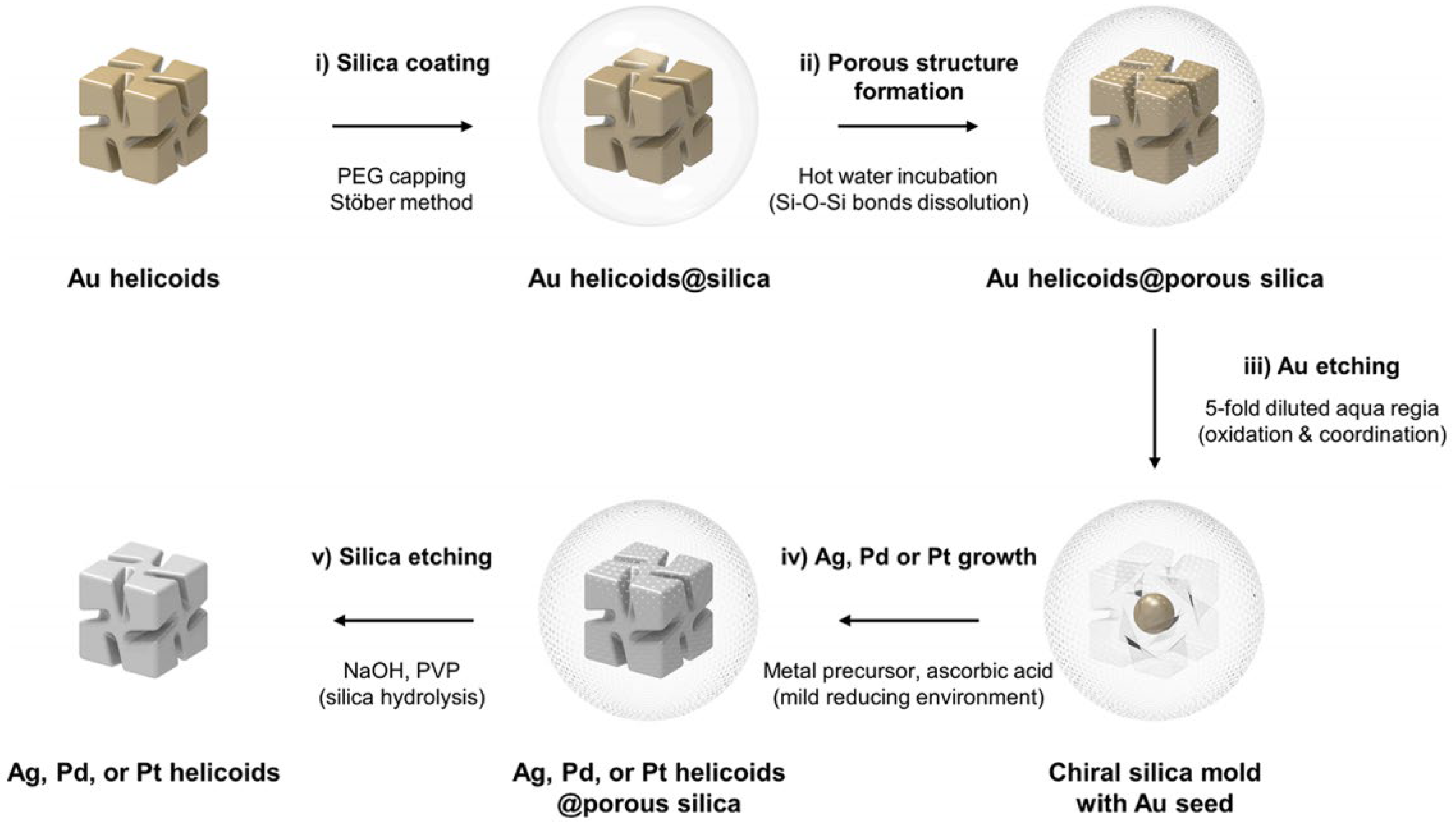 Molecules 30 04455 g001