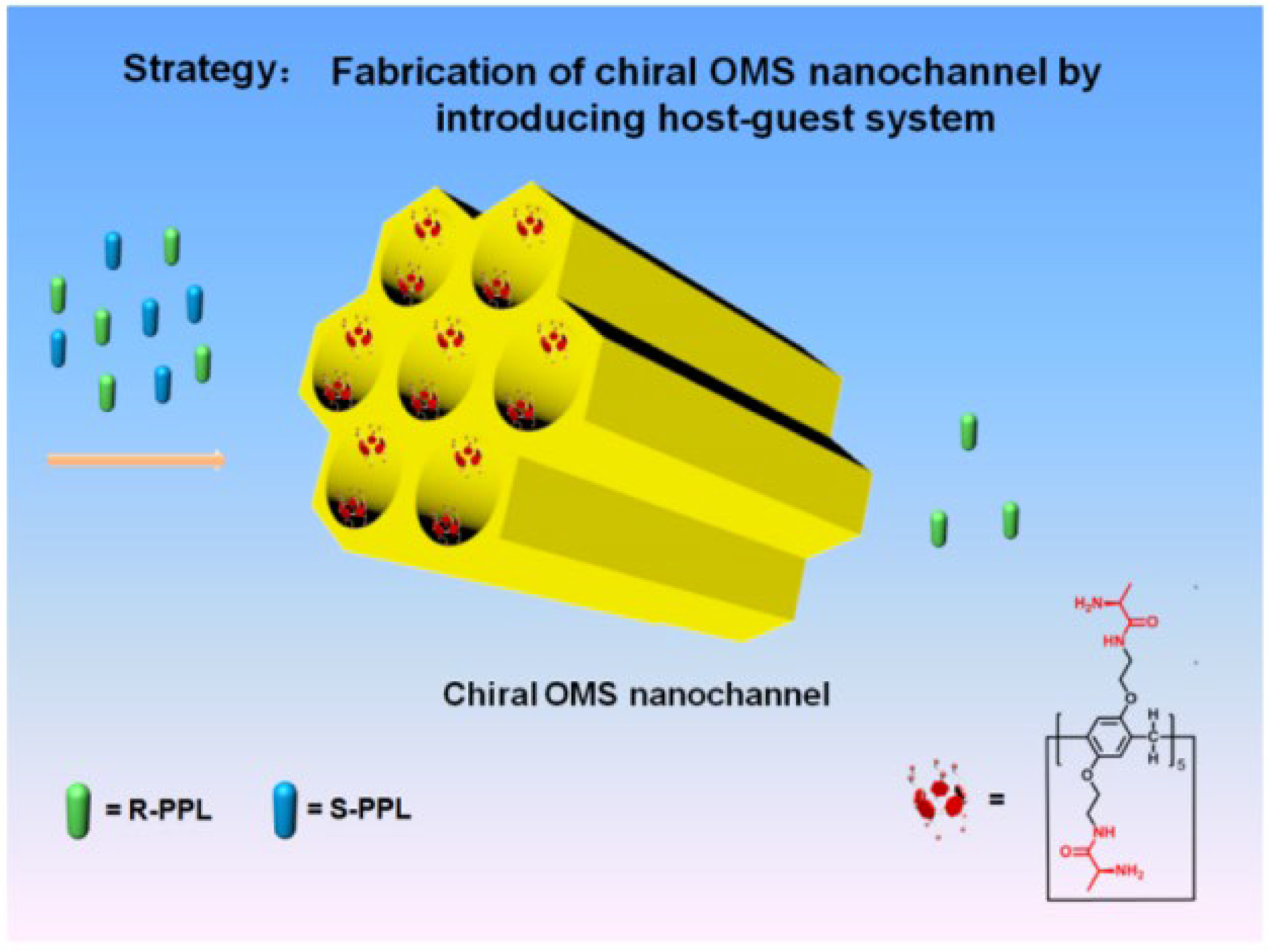 Molecules 30 04455 g007