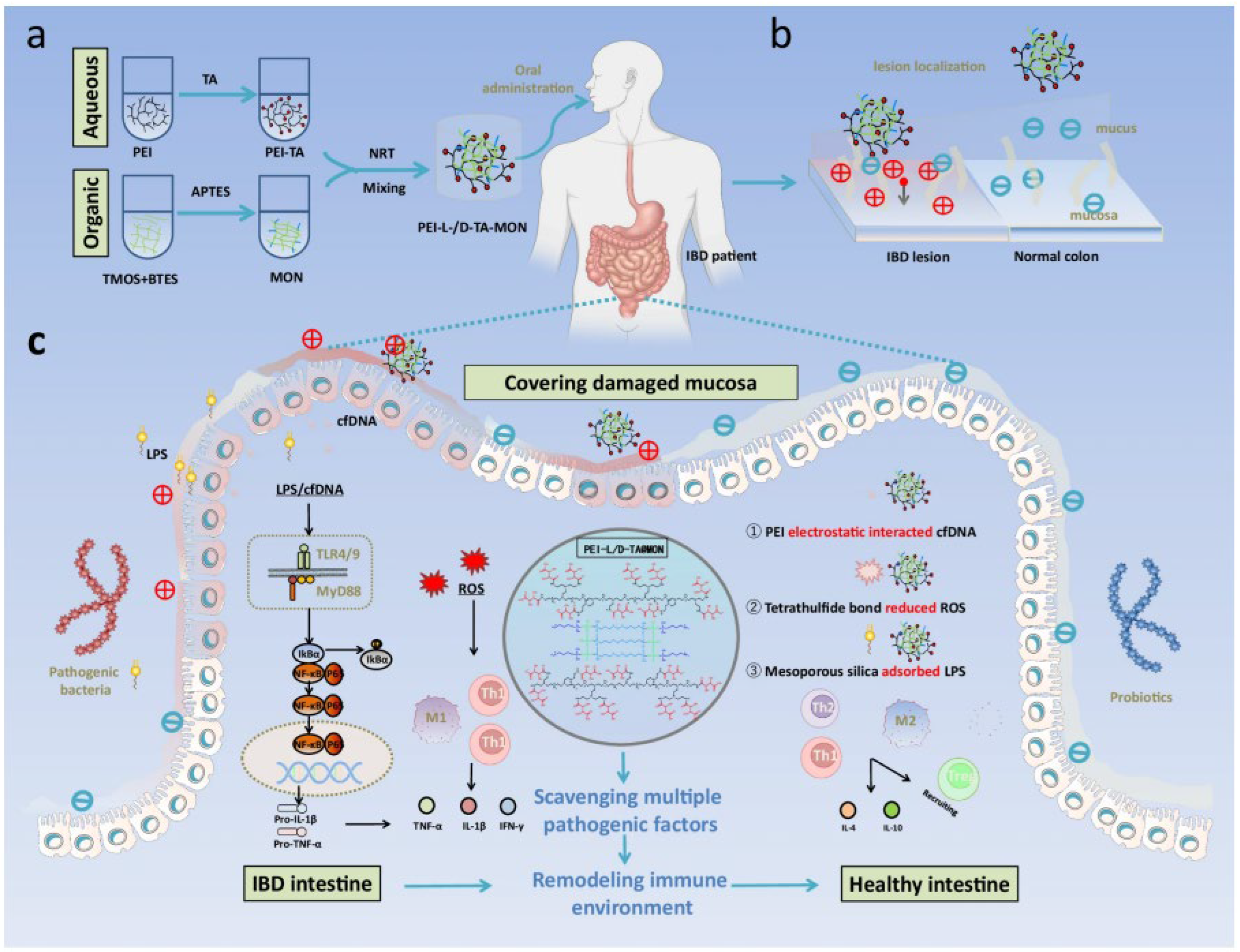 Molecules 30 04455 g009