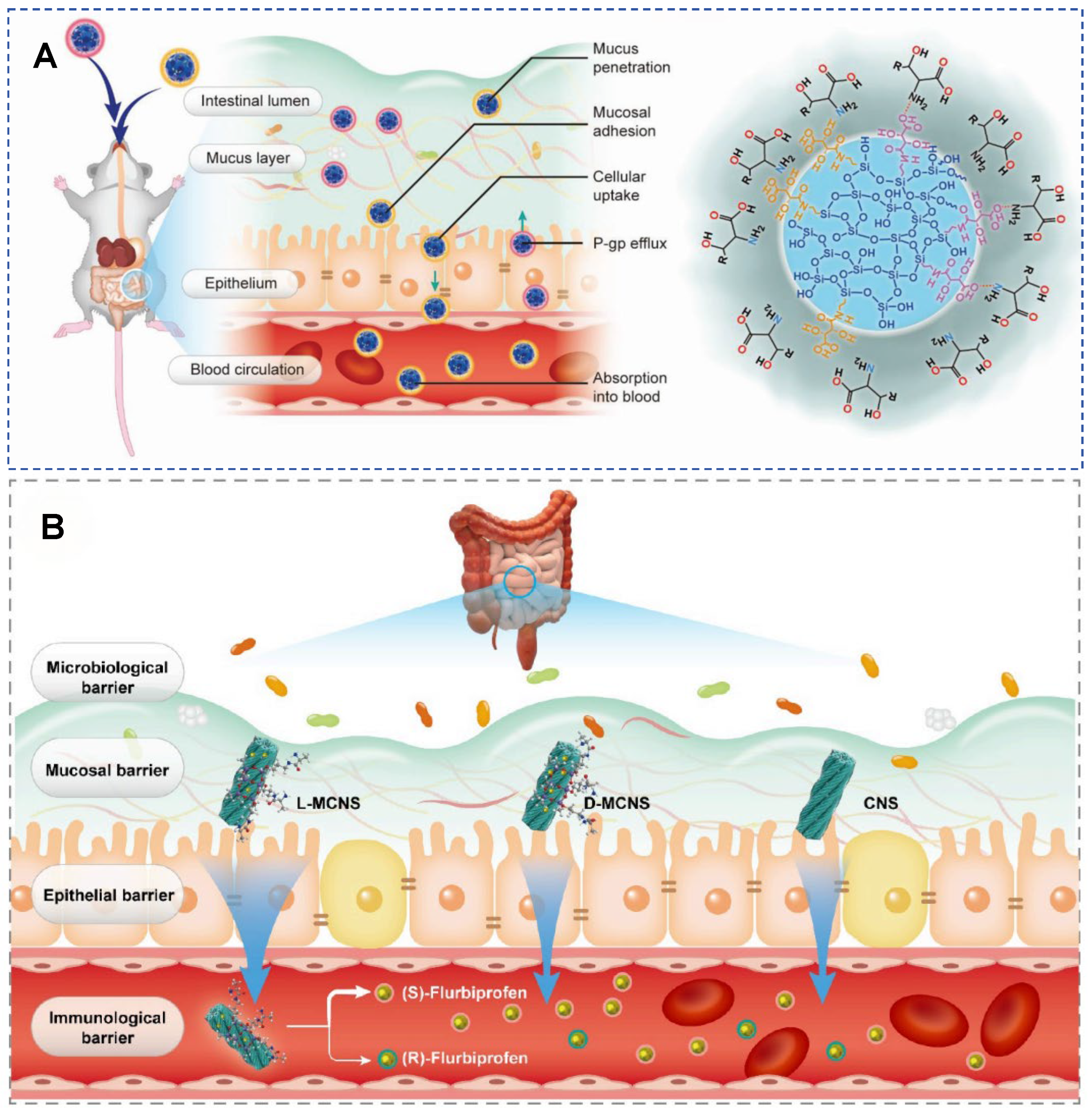 Molecules 30 04455 g011