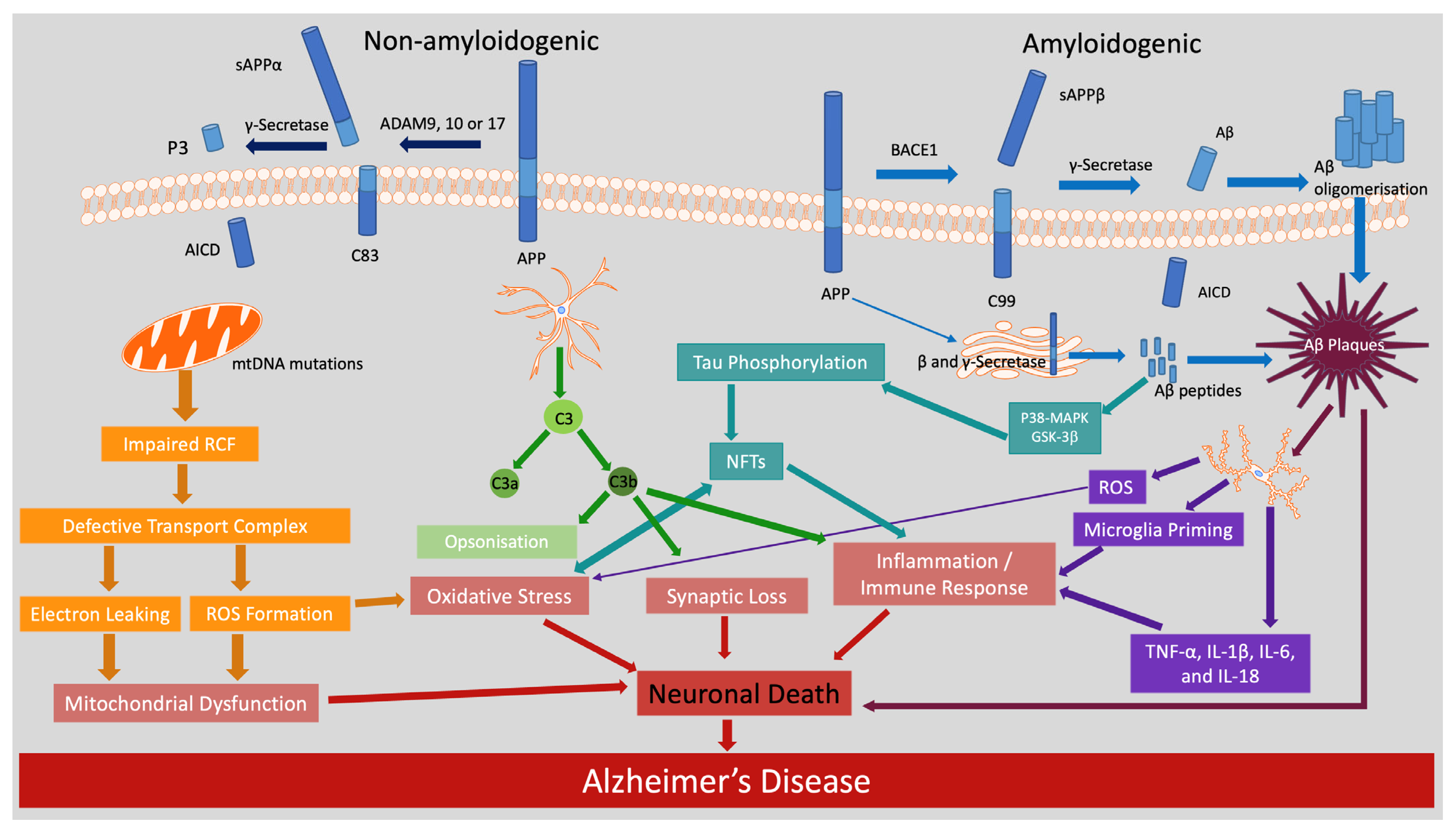 Molecules 30 04456 g001