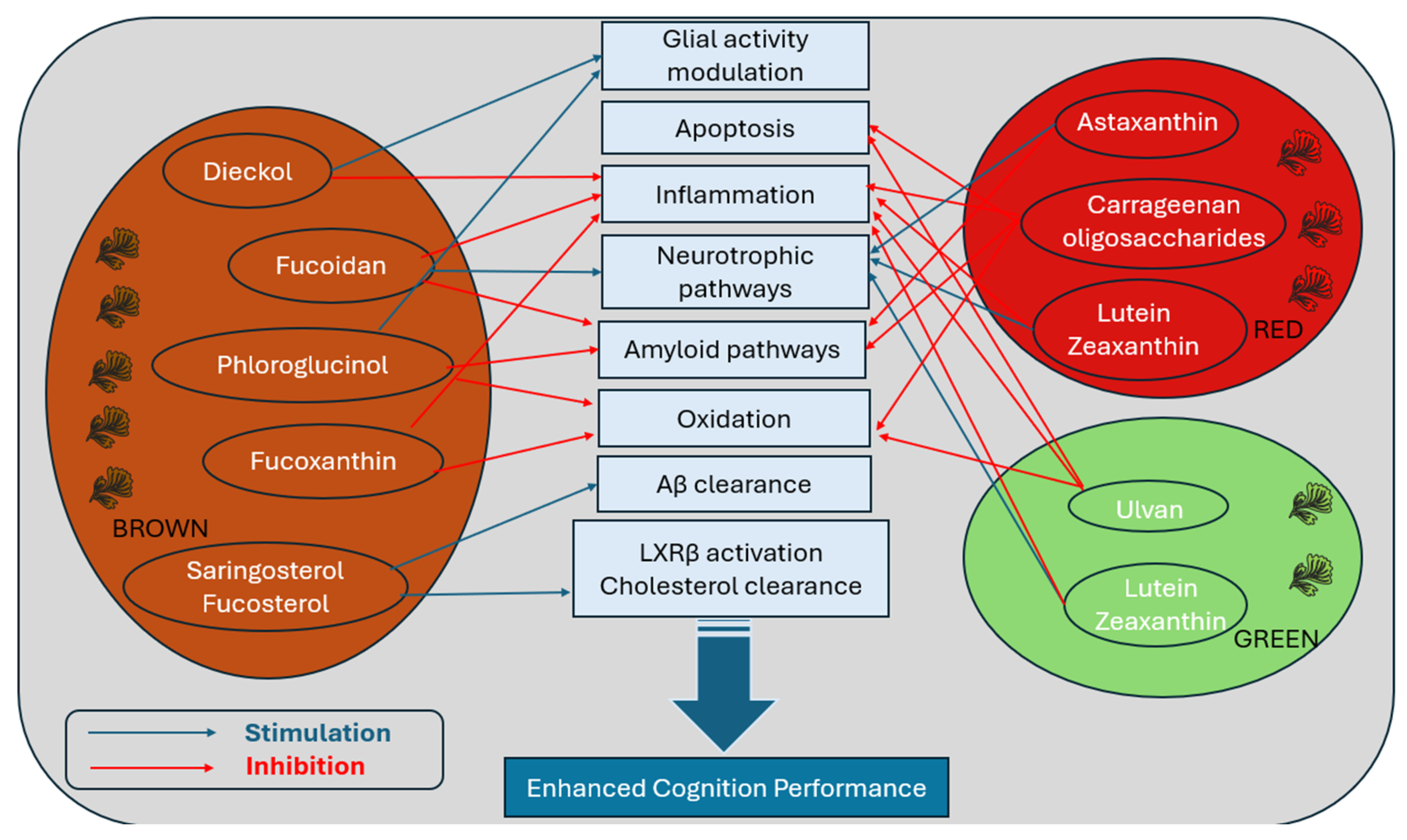 Molecules 30 04456 g002