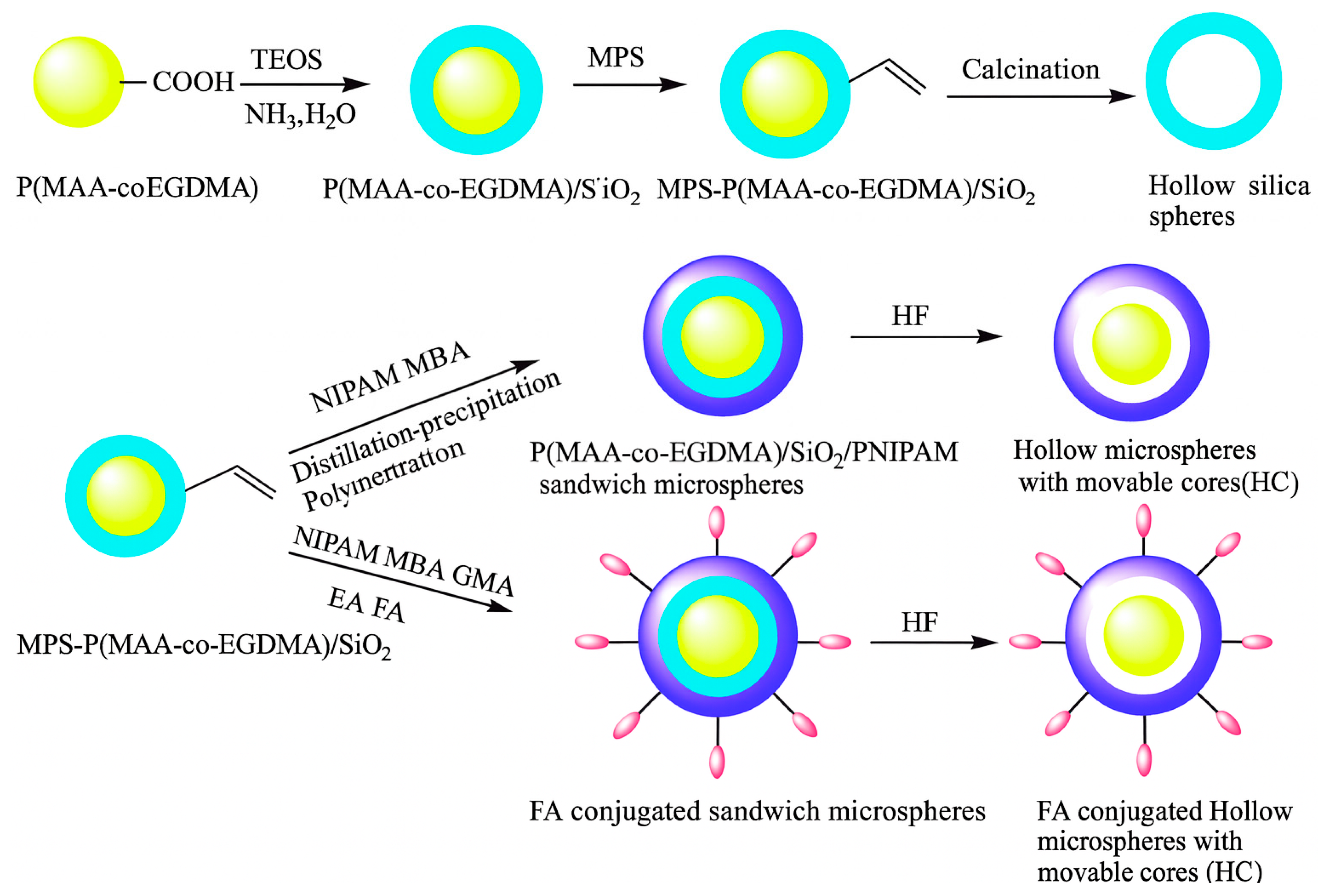 Molecules 30 04457 g005