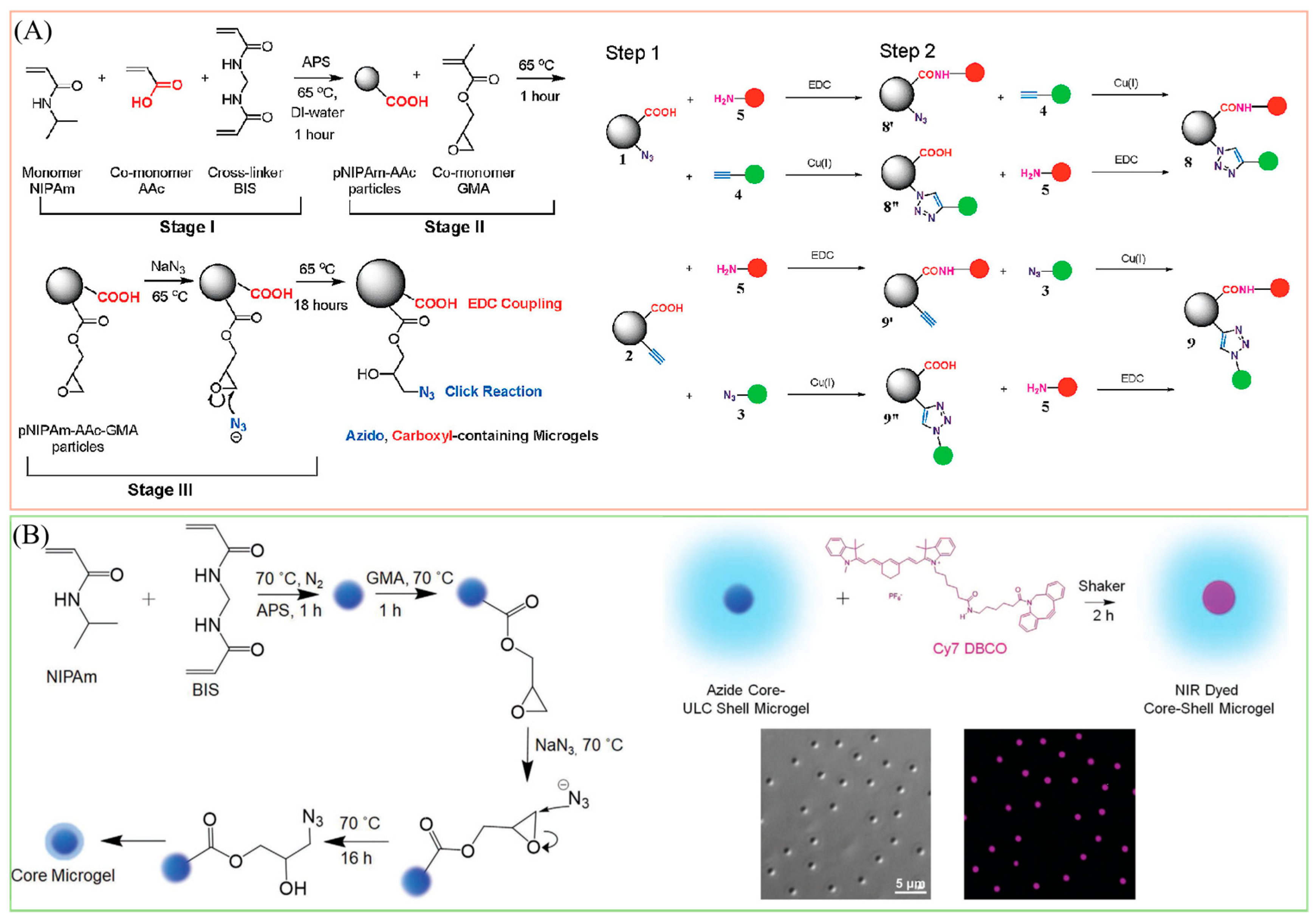 Molecules 30 04457 g006