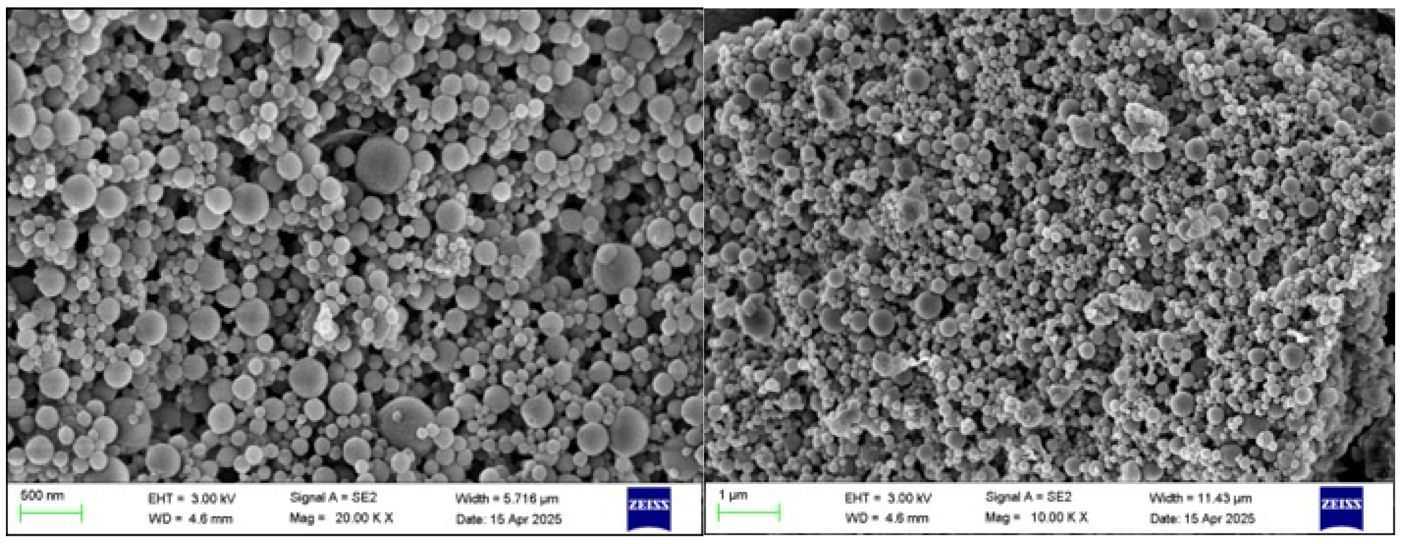 Molecules 30 04459 g007