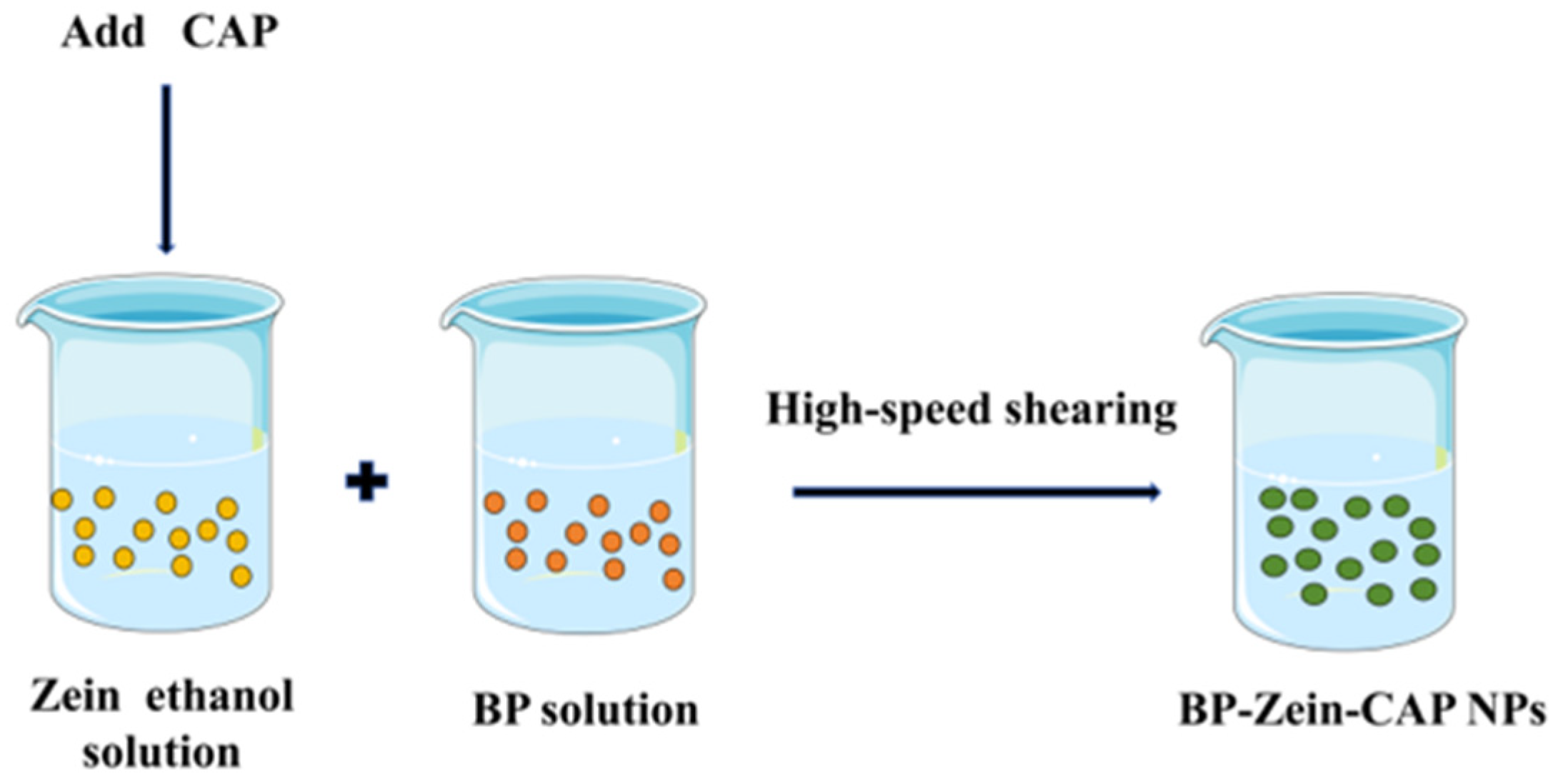 Molecules 30 04459 g012