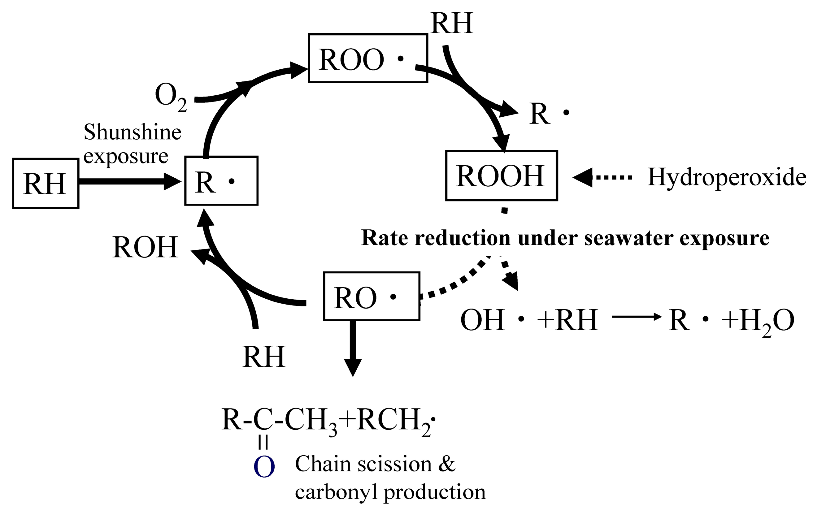 Molecules 30 04461 g001