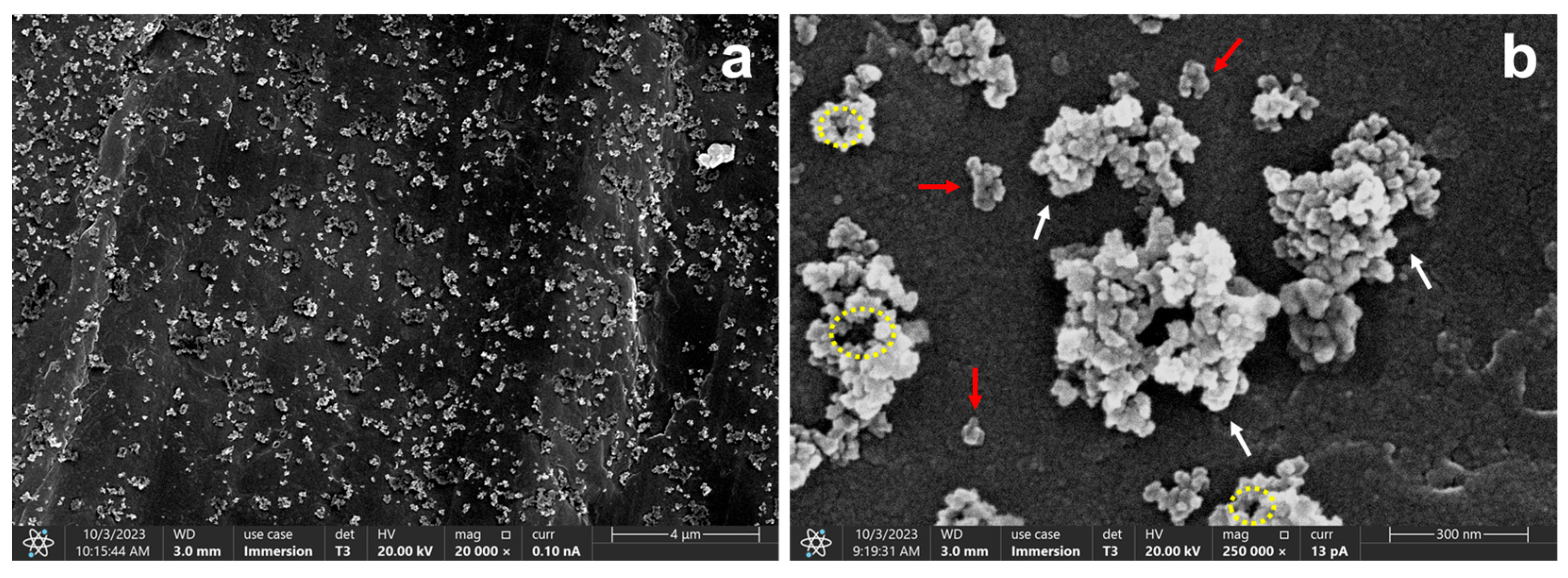 Molecules 30 04464 g001