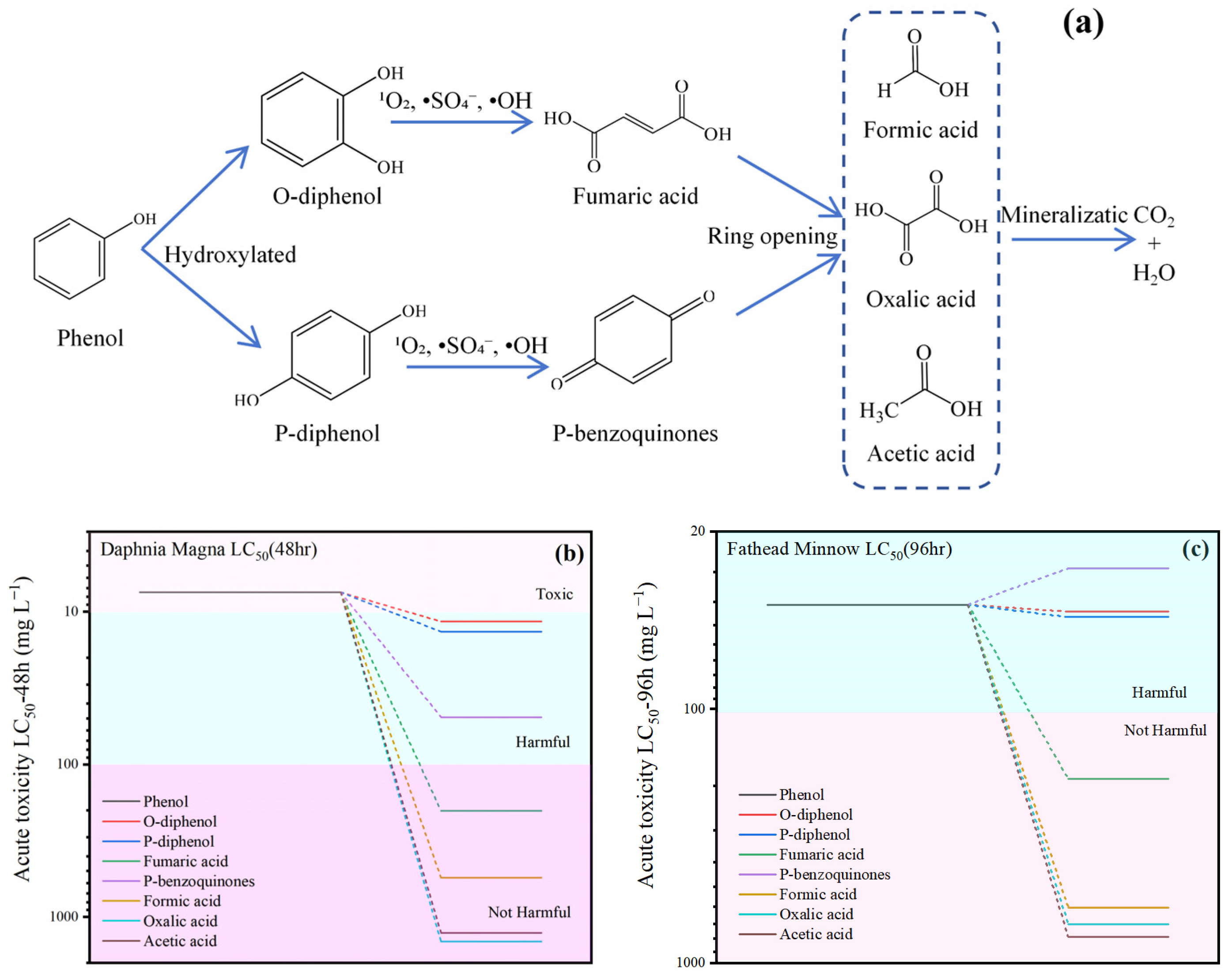 Molecules 30 04466 g008