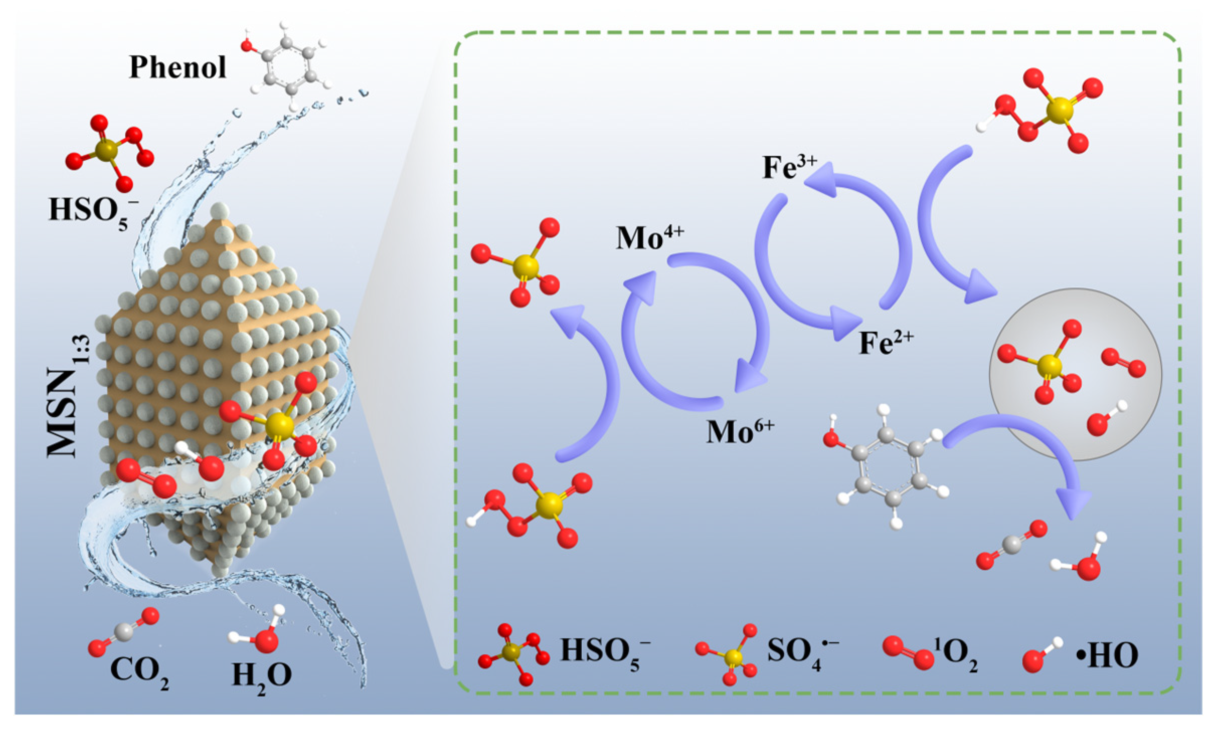 Molecules 30 04466 g011