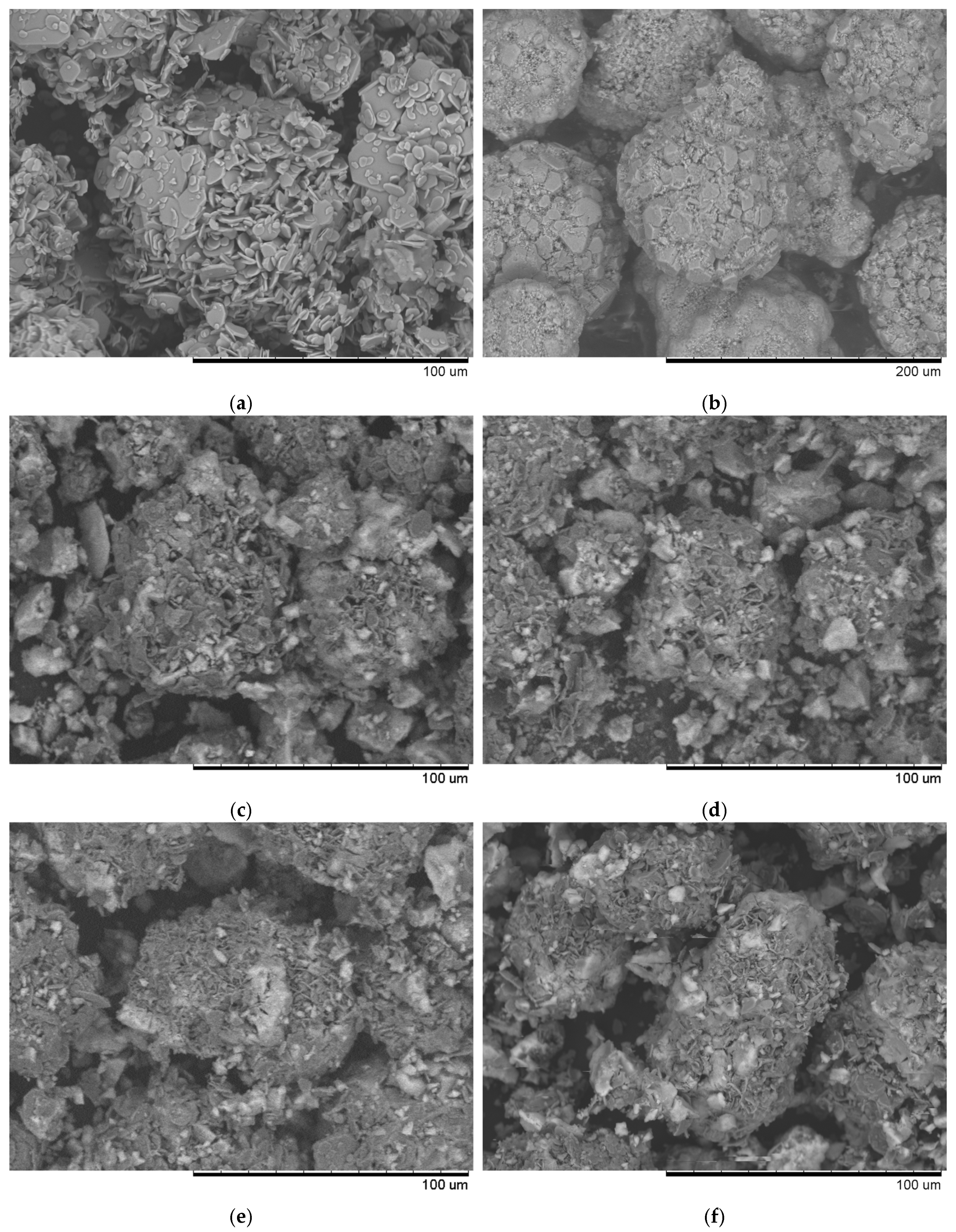 Molecules 30 04469 g001
