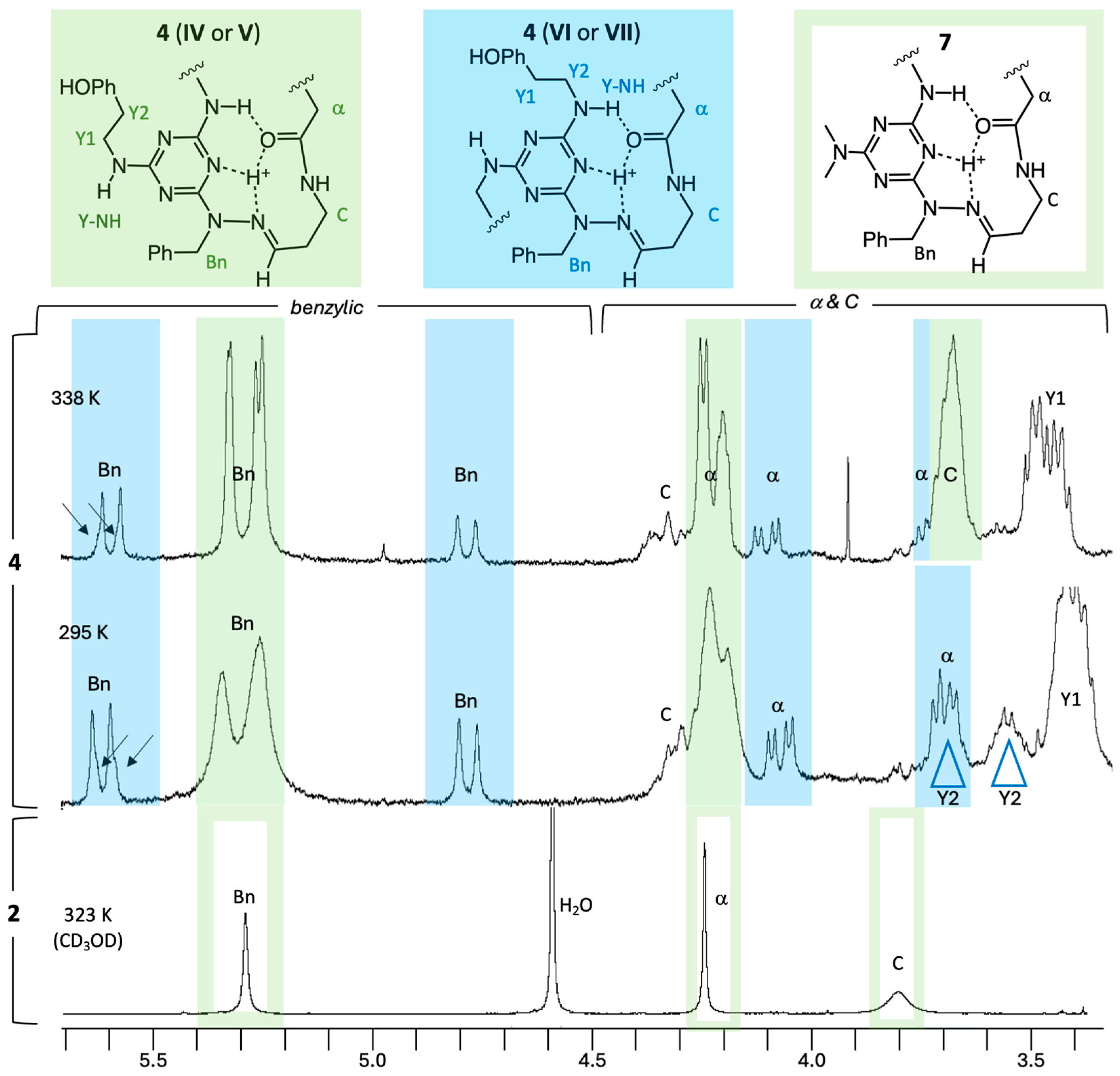 Molecules 30 04475 g006