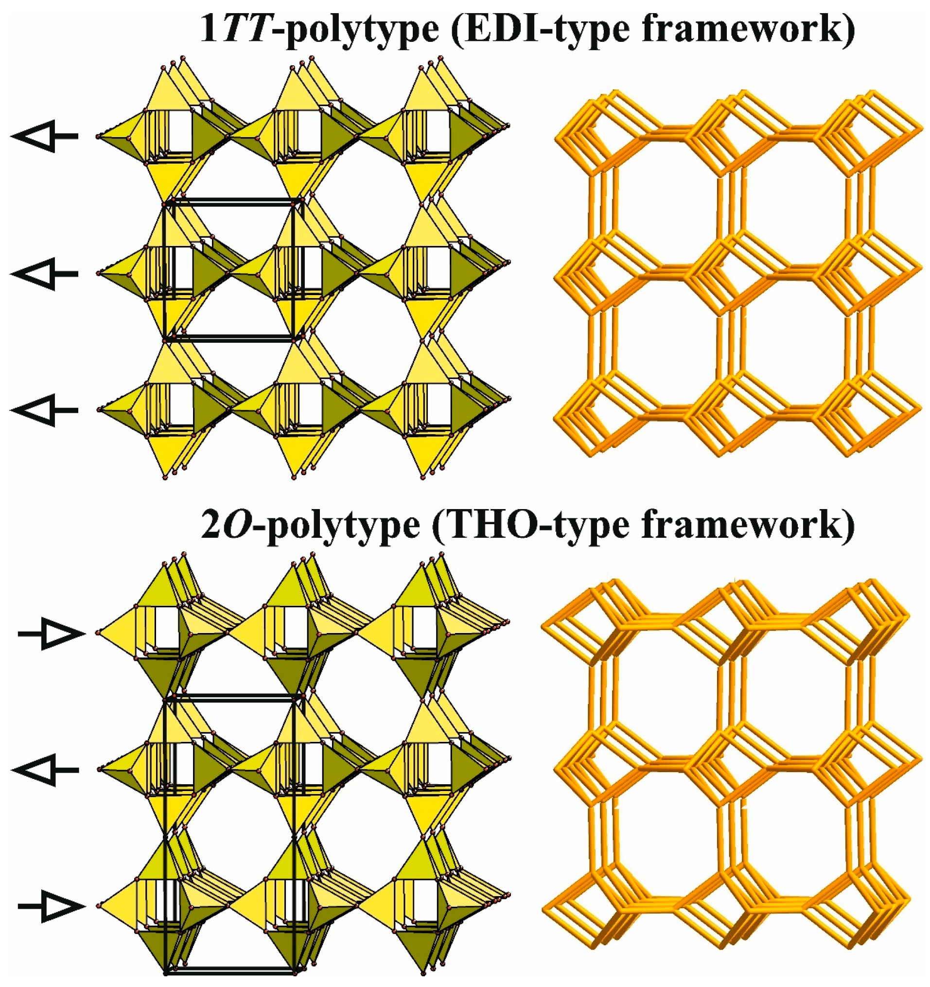 Molecules 30 04477 g006