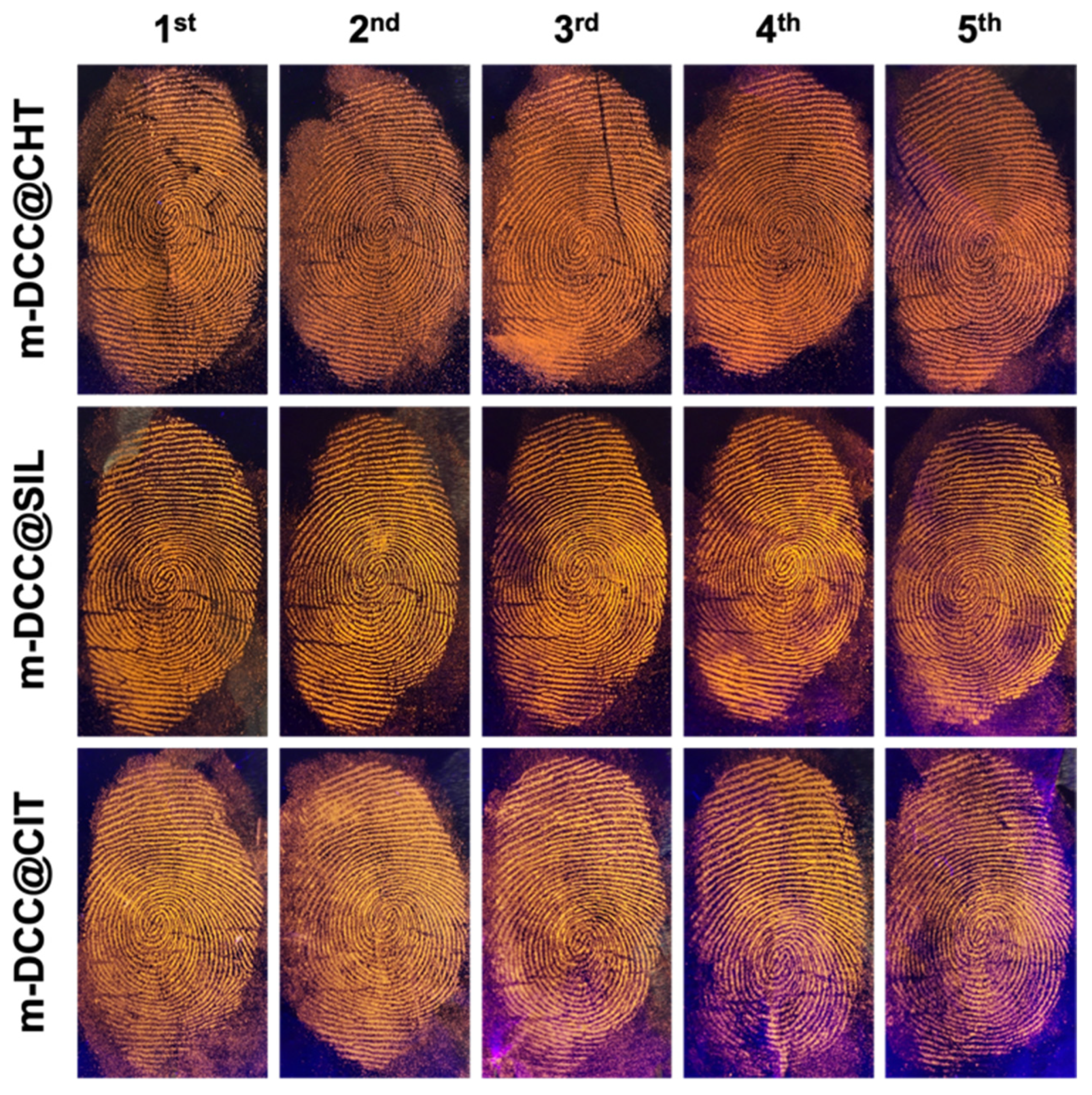 Molecules 30 04481 g007
