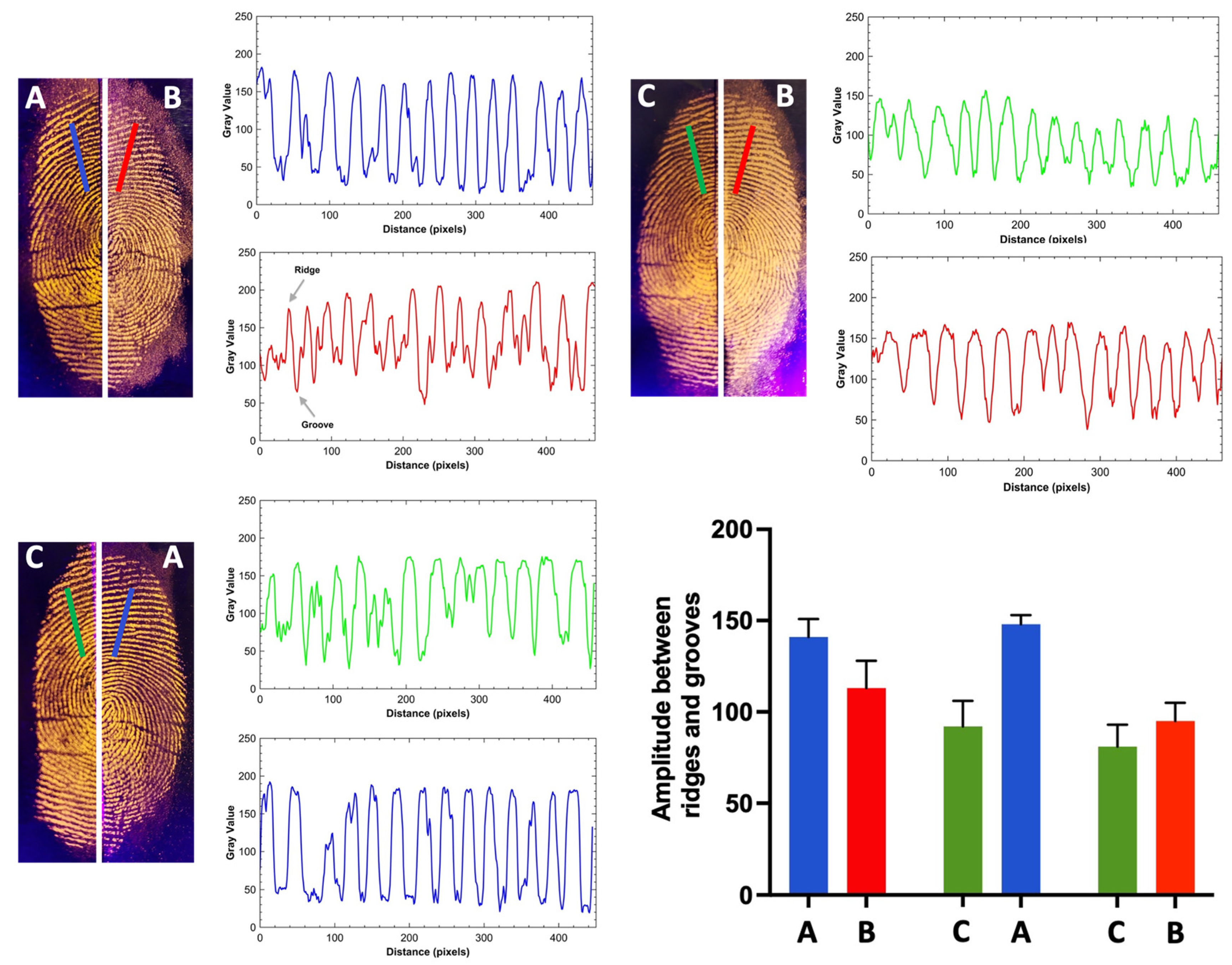Molecules 30 04481 g008