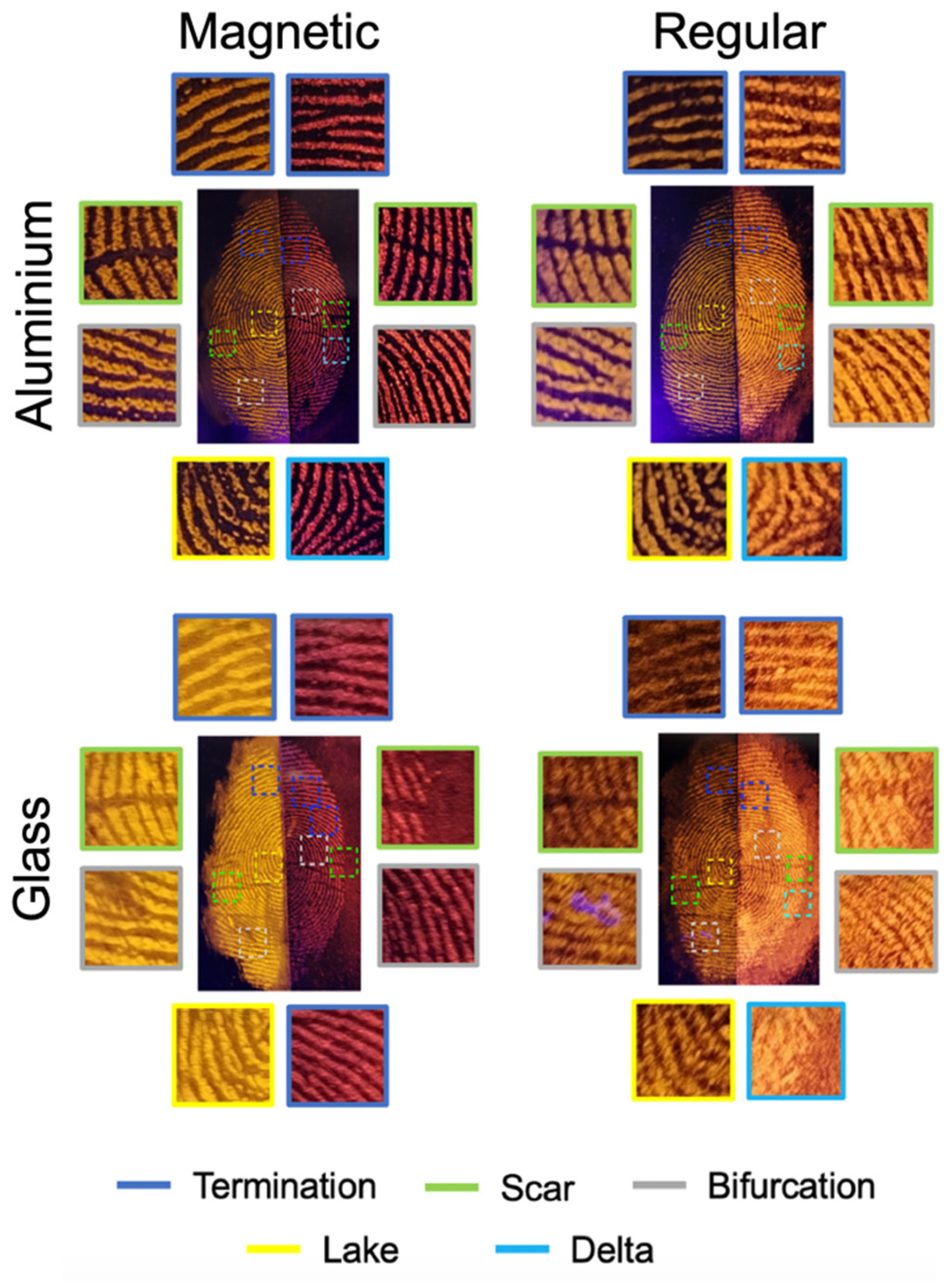 Molecules 30 04481 g009