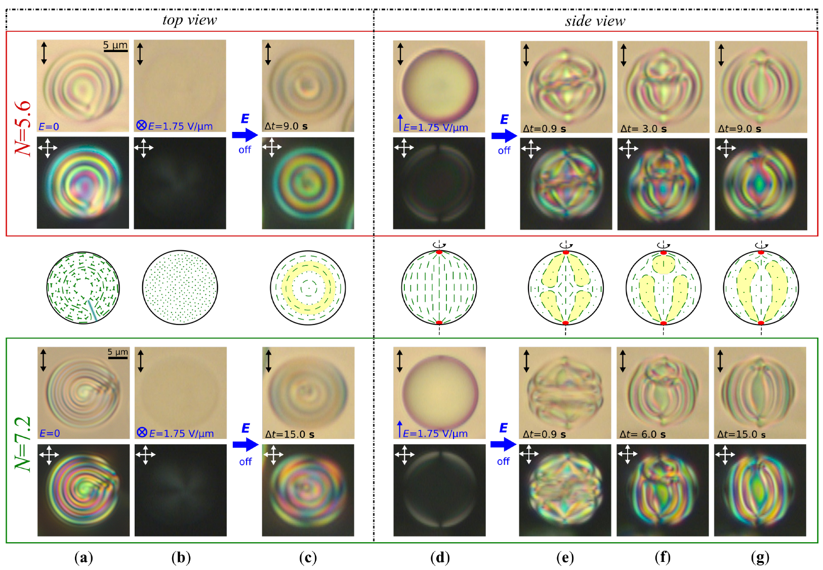 Molecules 30 04482 g001 Molecules 30 04482 g001