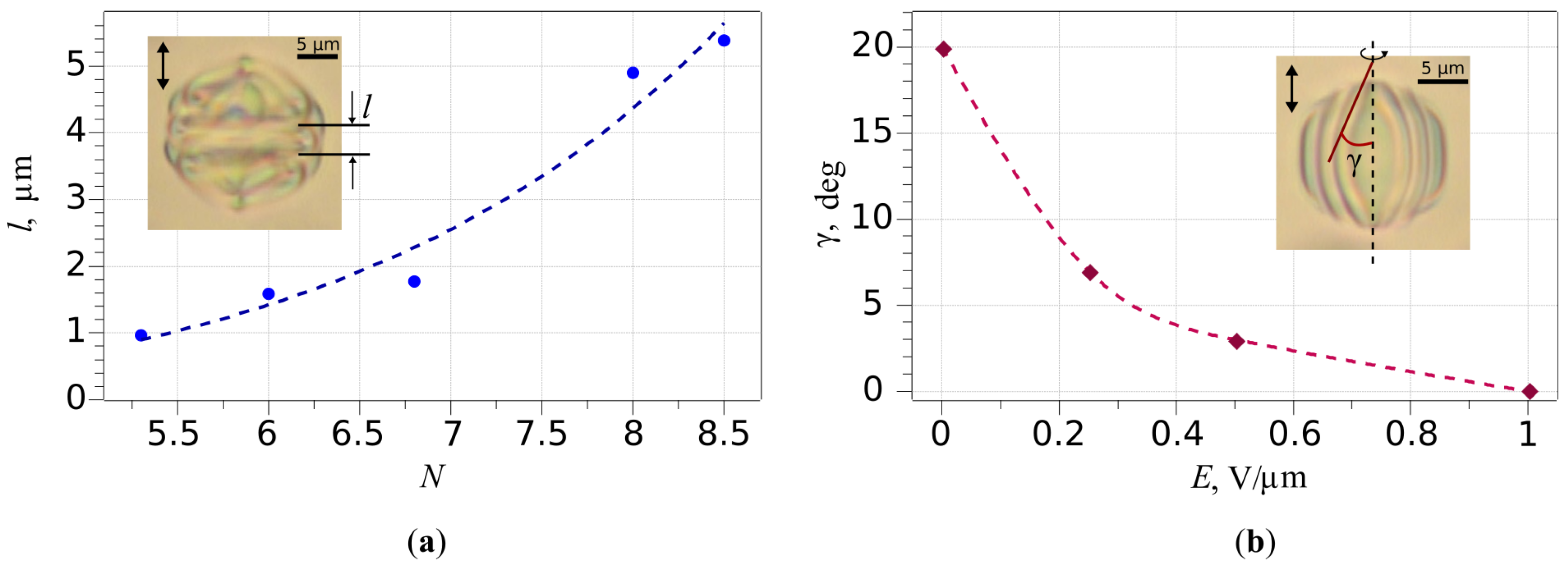 Molecules 30 04482 g002 Molecules 30 04482 g002