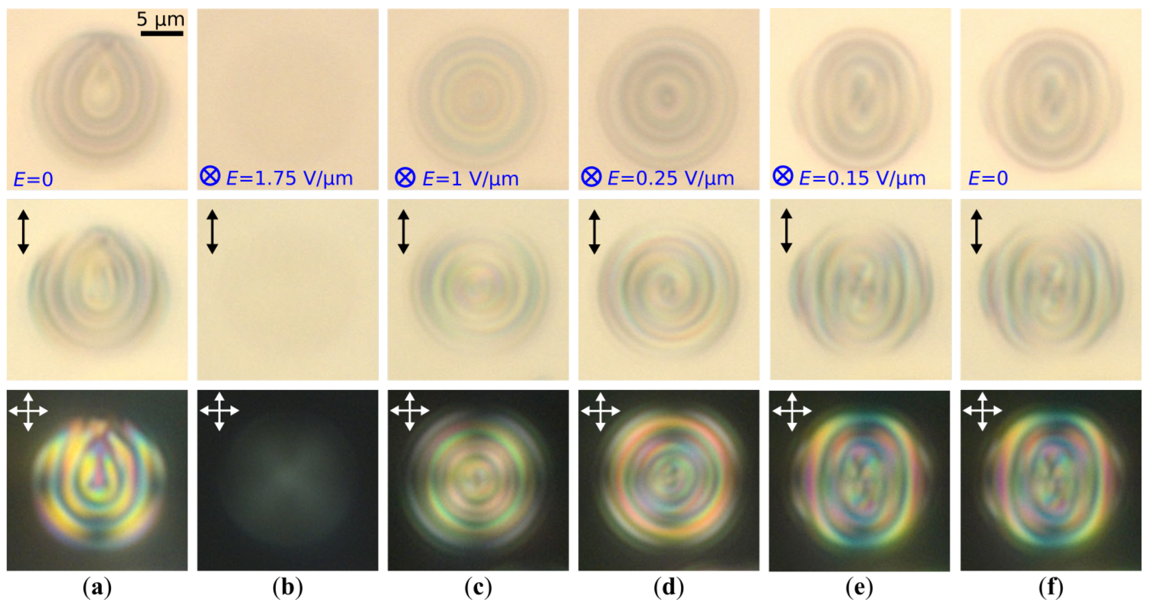 Molecules 30 04482 g004 Molecules 30 04482 g004