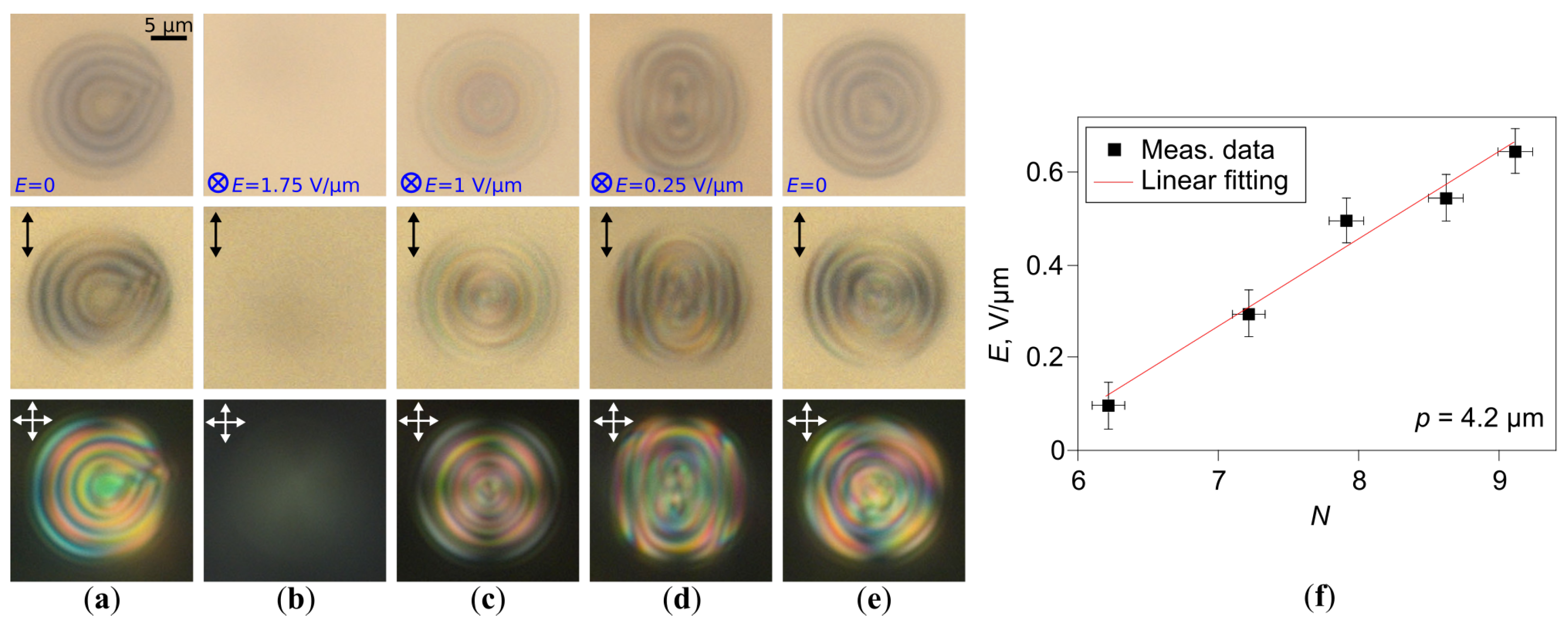 Molecules 30 04482 g005 Molecules 30 04482 g005