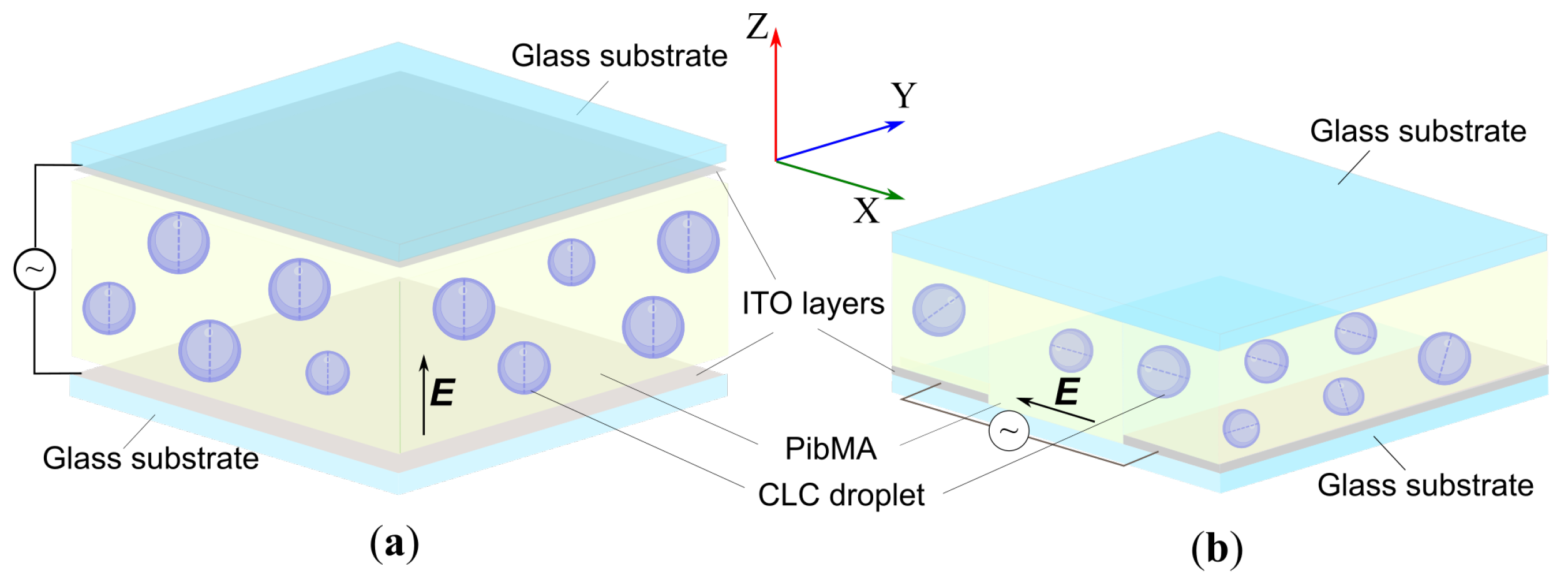 Molecules 30 04482 g006 Molecules 30 04482 g006