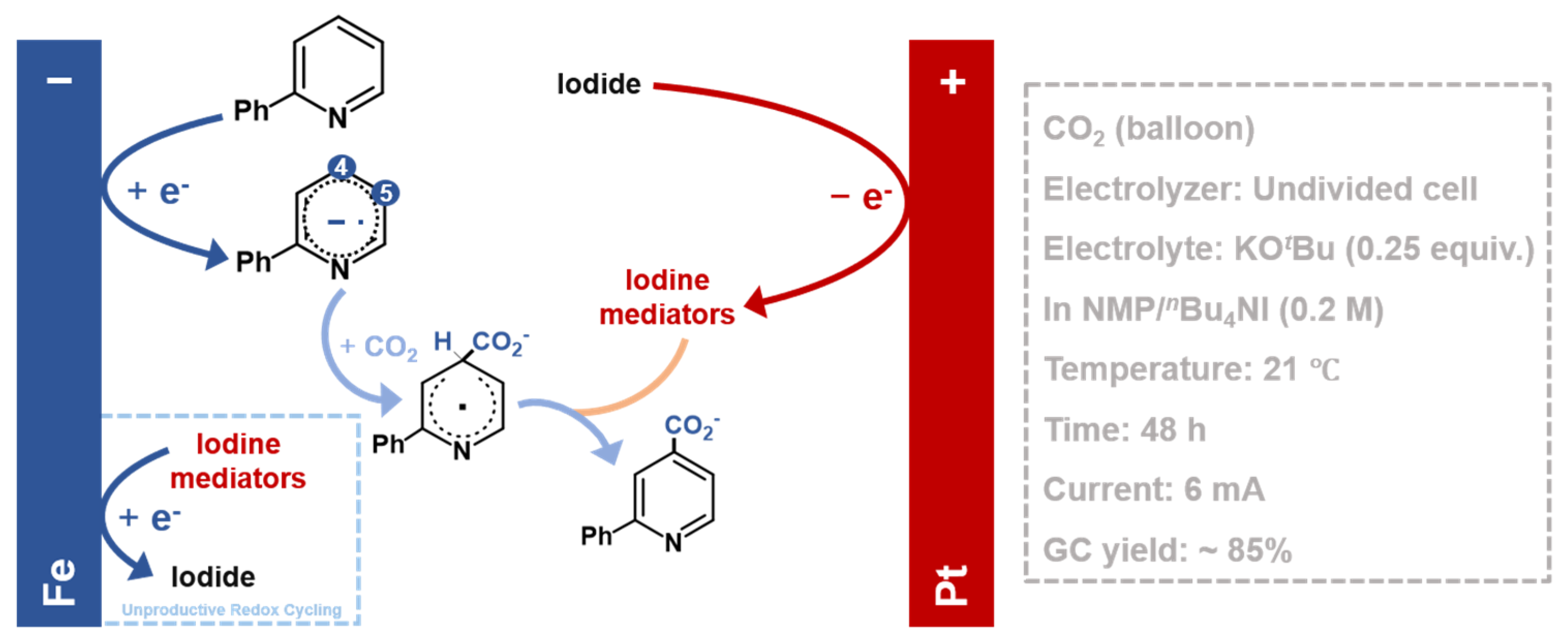 Molecules 30 04485 g002