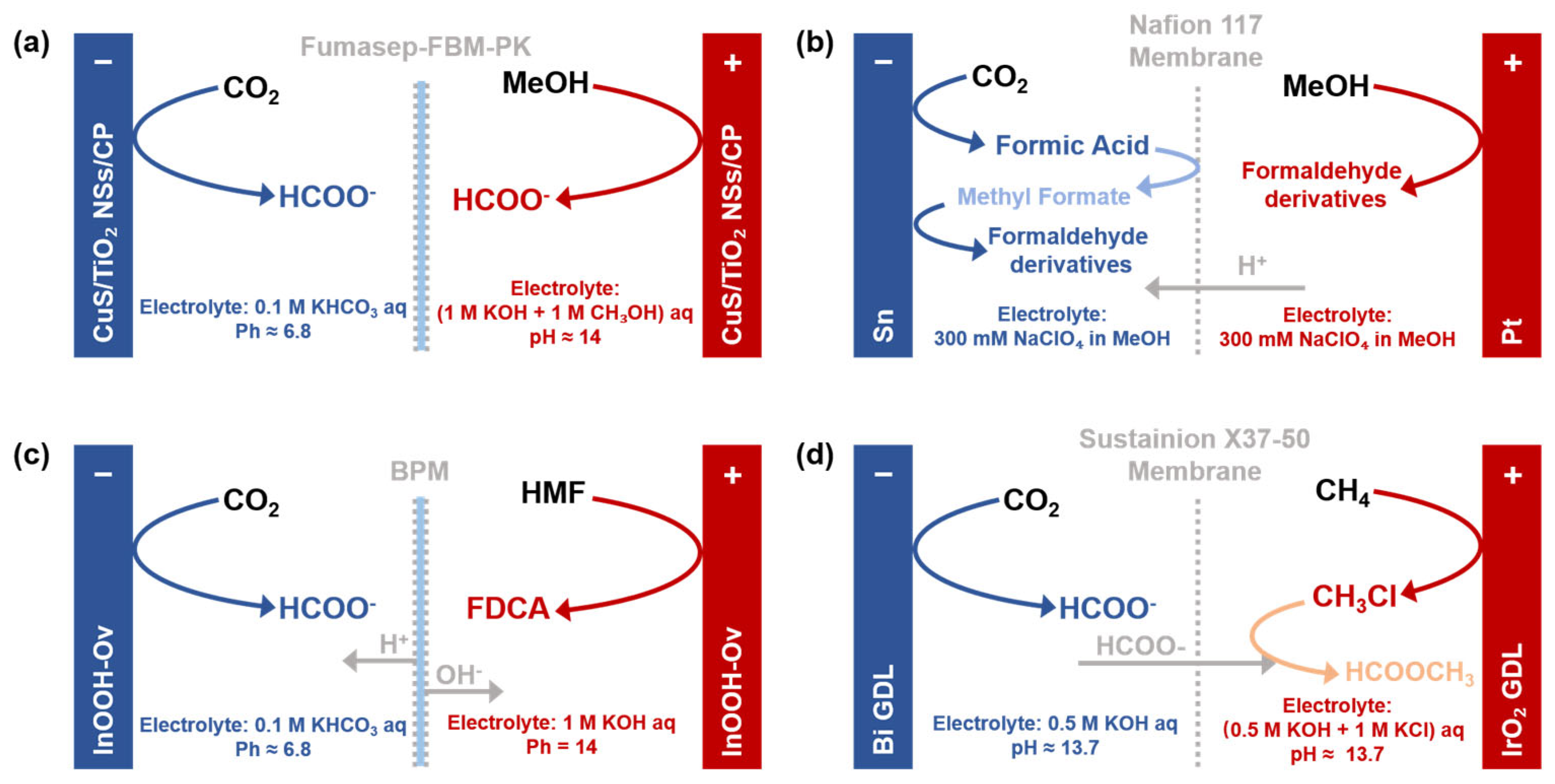 Molecules 30 04485 g004