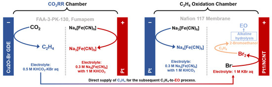 System Design in CO2 Electrolysis: Integrating Value-Added Anode