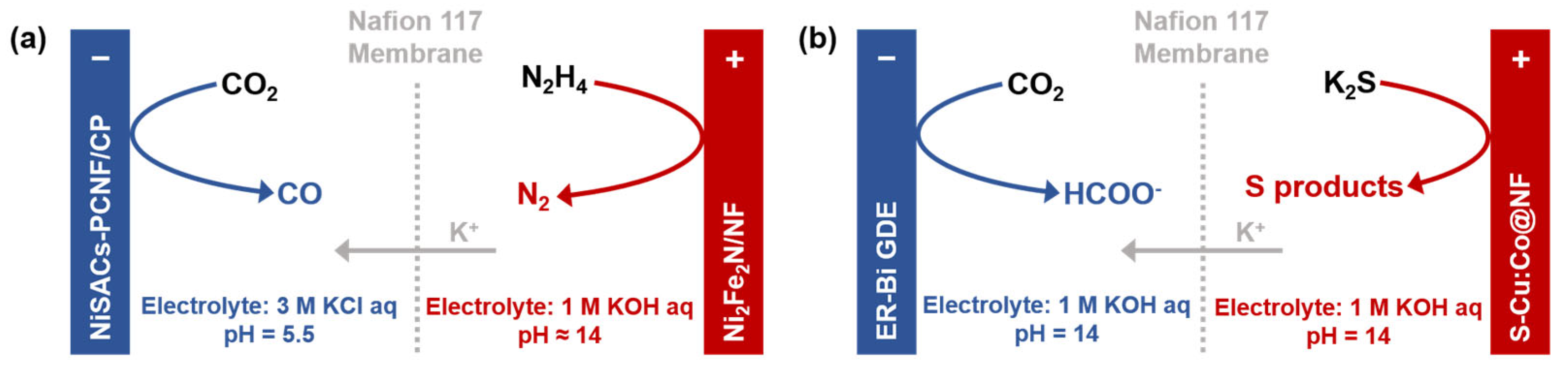 Molecules 30 04485 g008