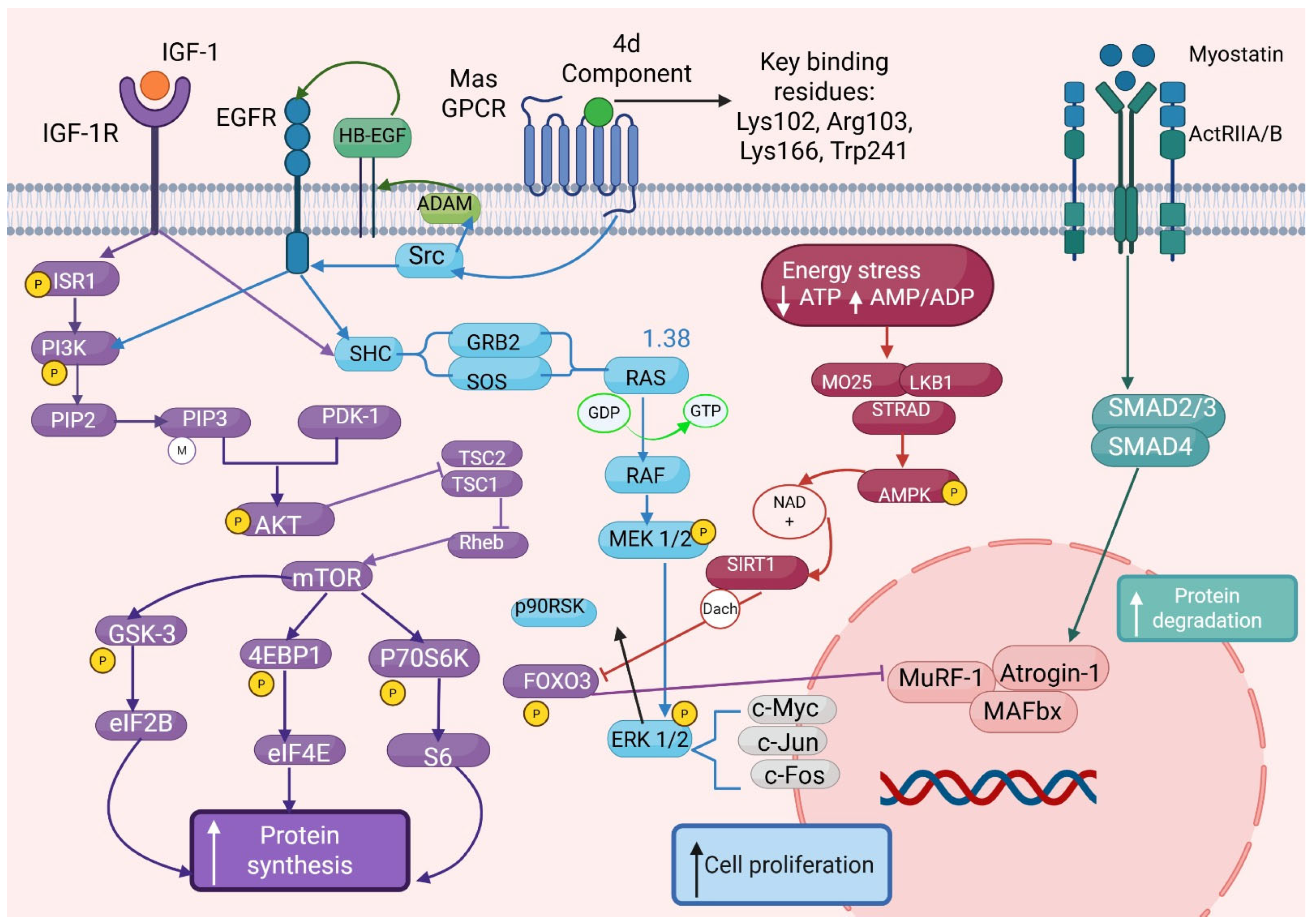 Molecules 30 04486 g001