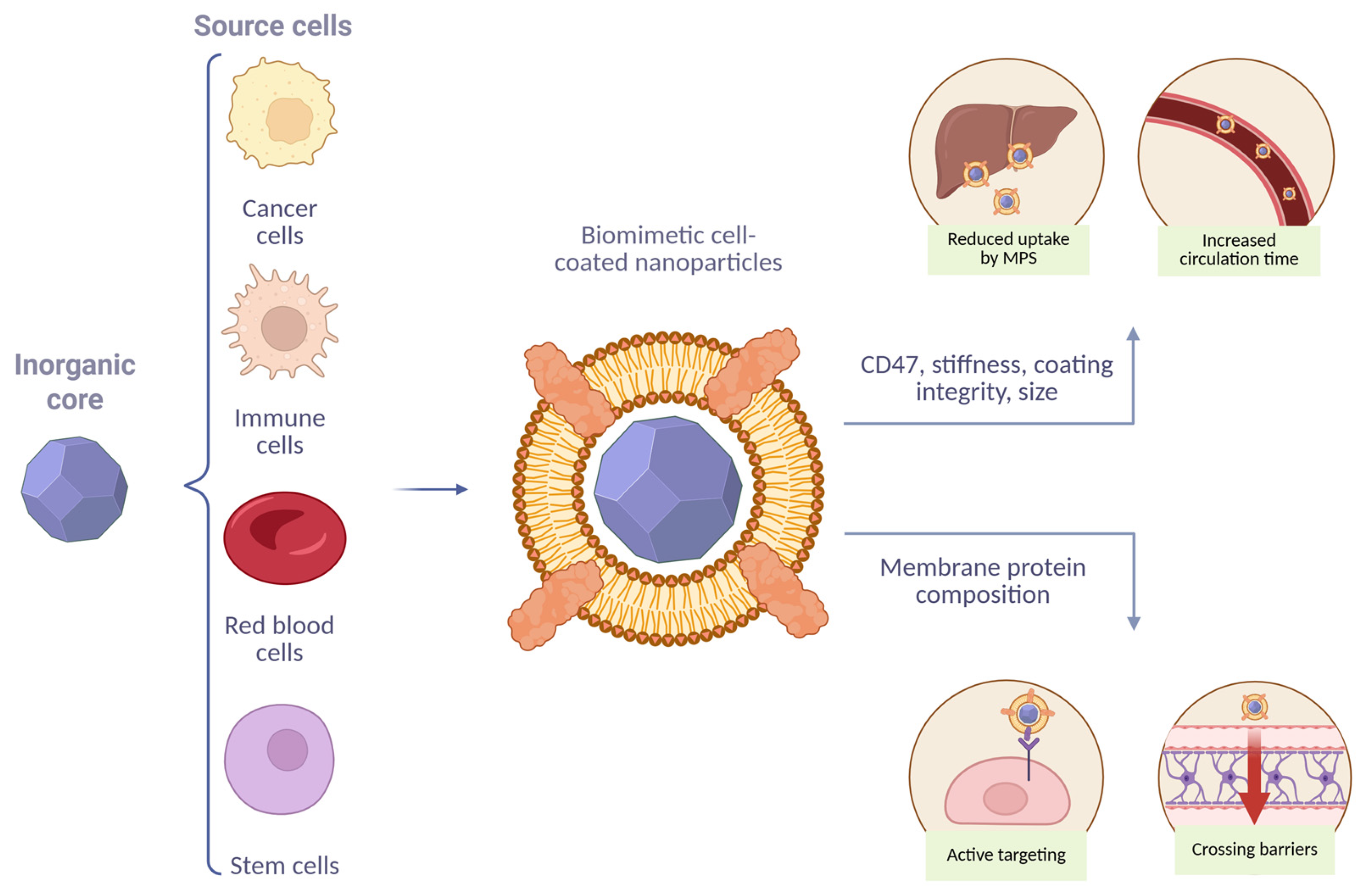 Molecules 30 04487 g001