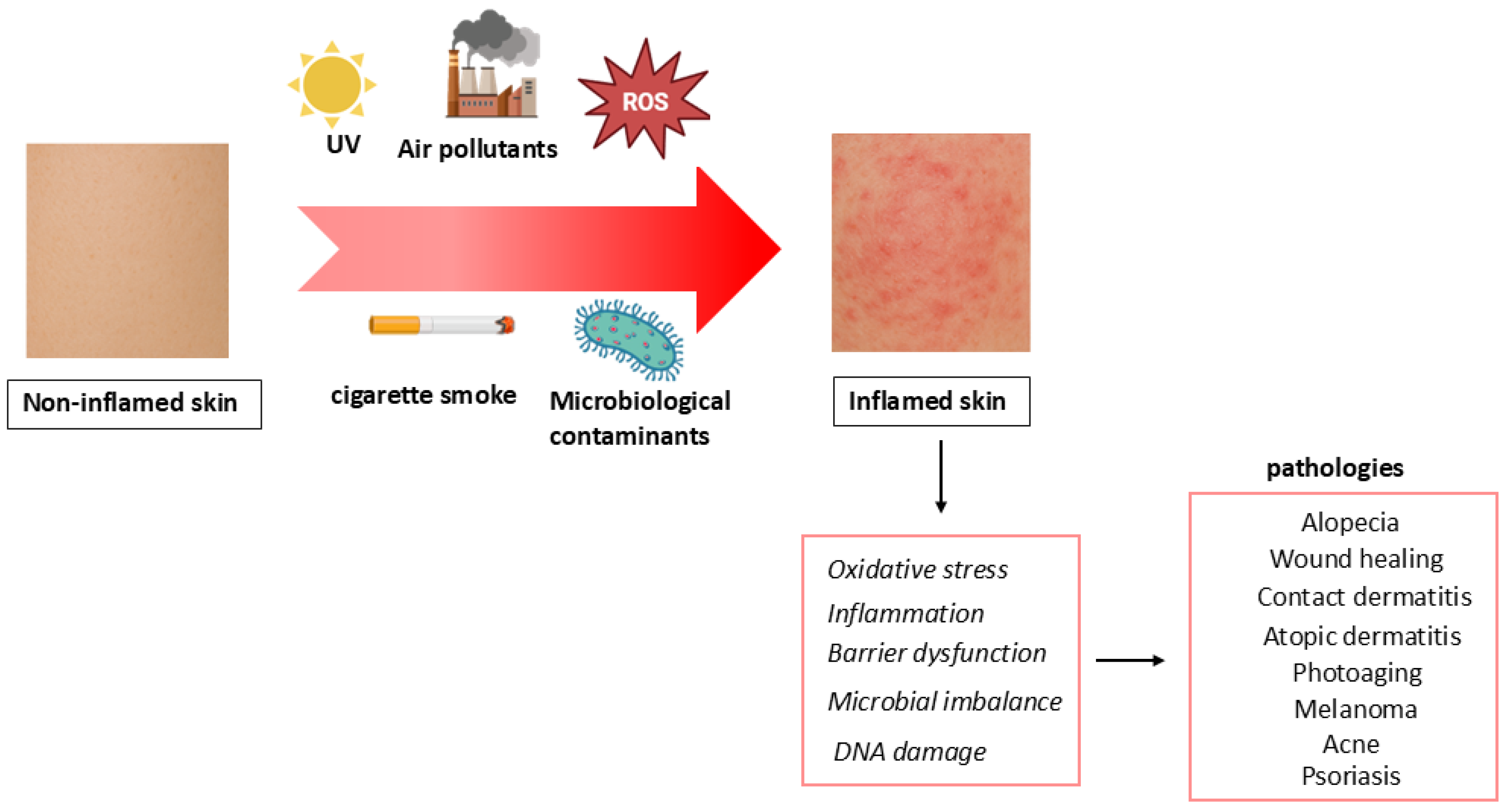 Molecules 30 04493 g001