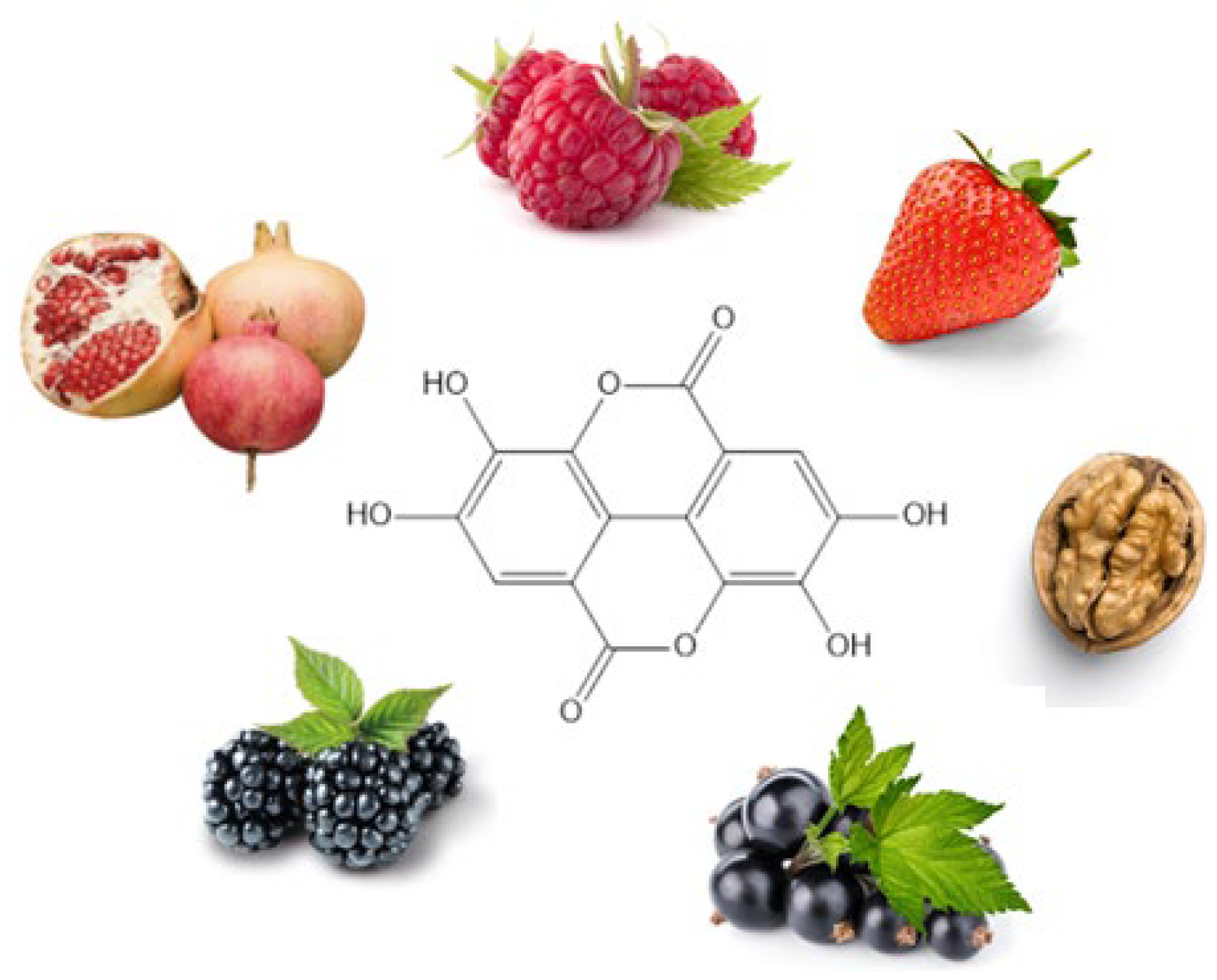 Molecules 30 04493 g002