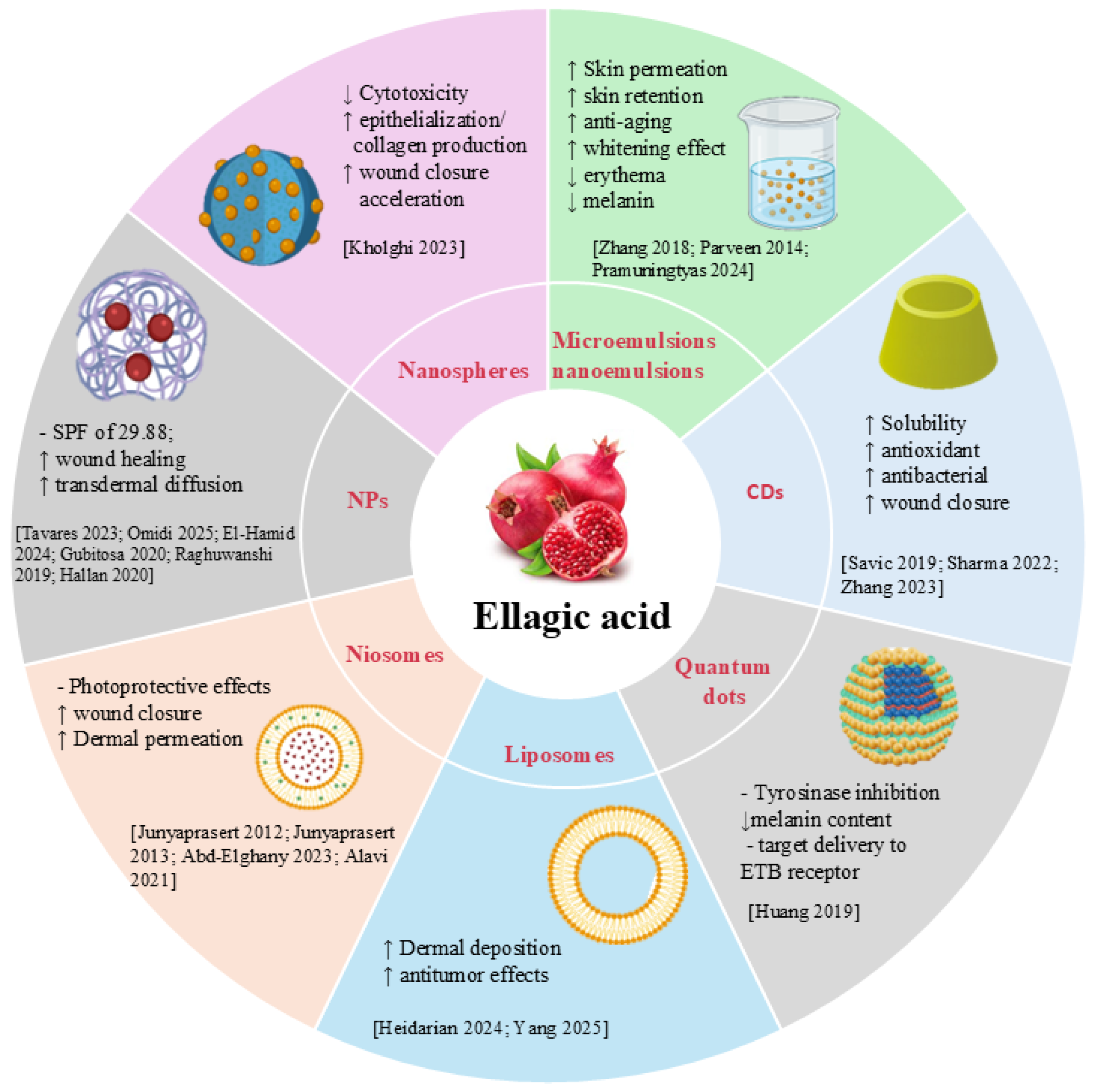 Molecules 30 04493 g004