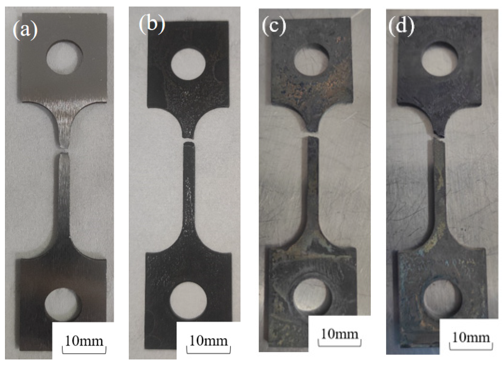 Molecules 30 04499 g004