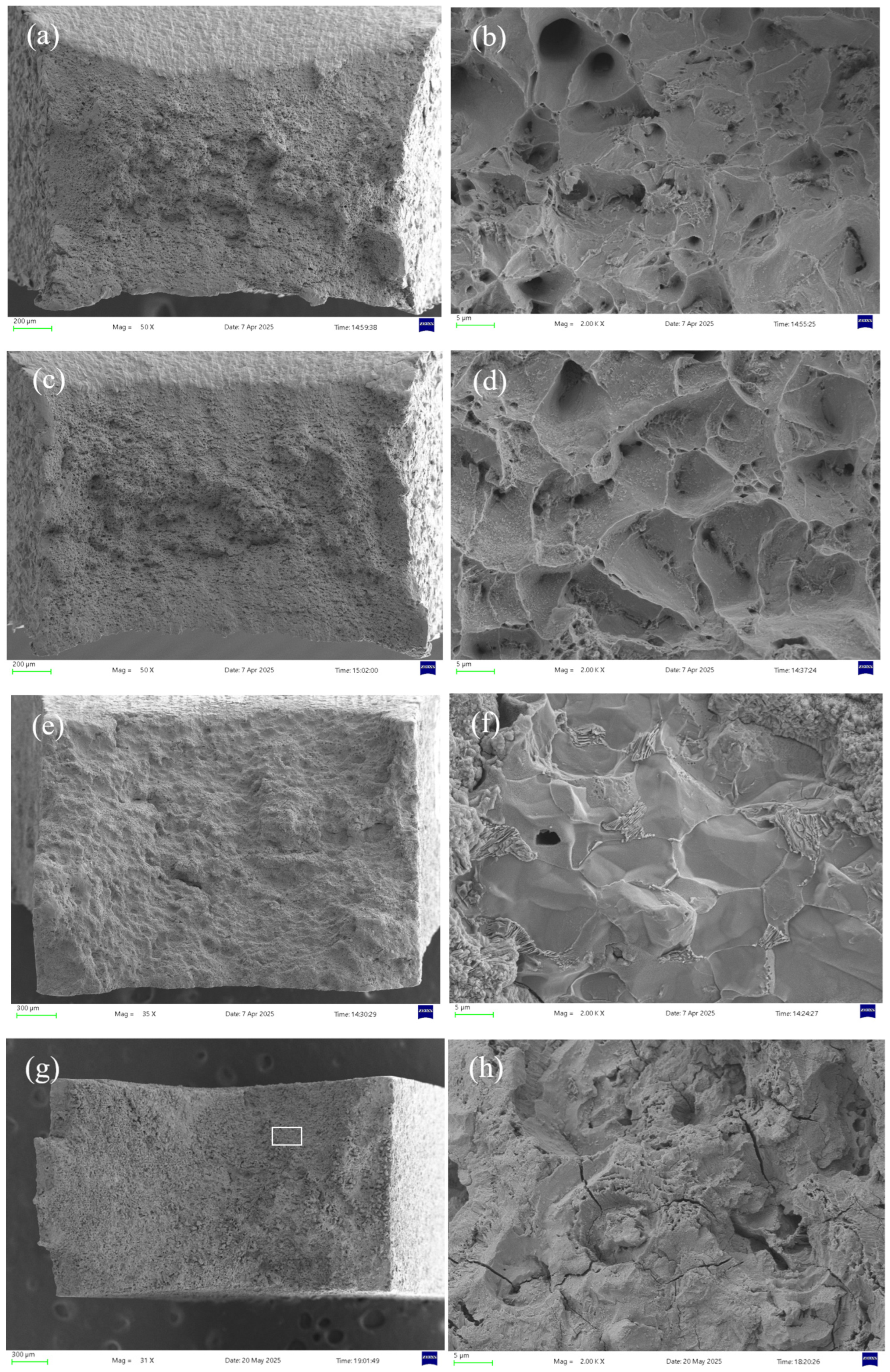 Molecules 30 04499 g014