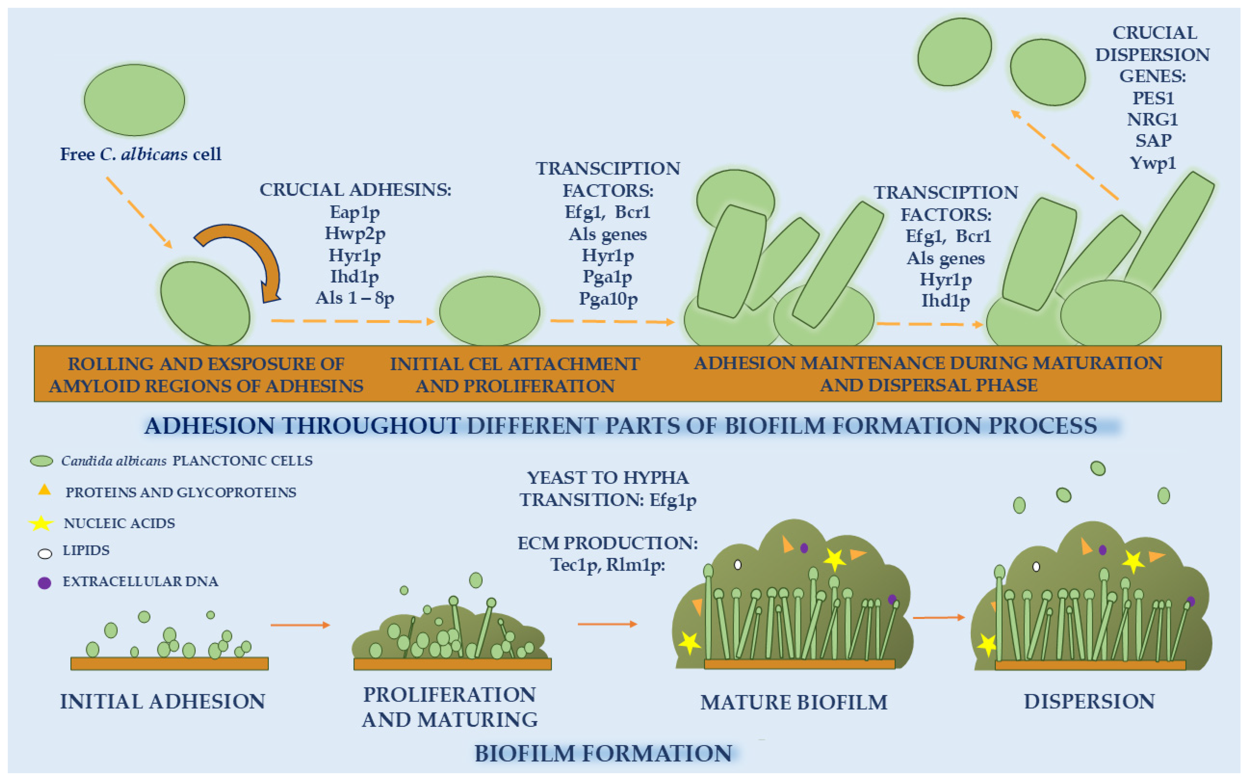 Molecules 30 04500 g001