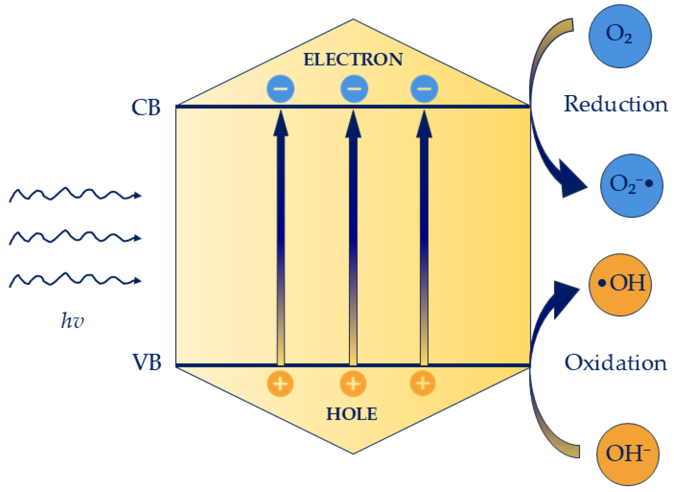 Molecules 30 04500 g002