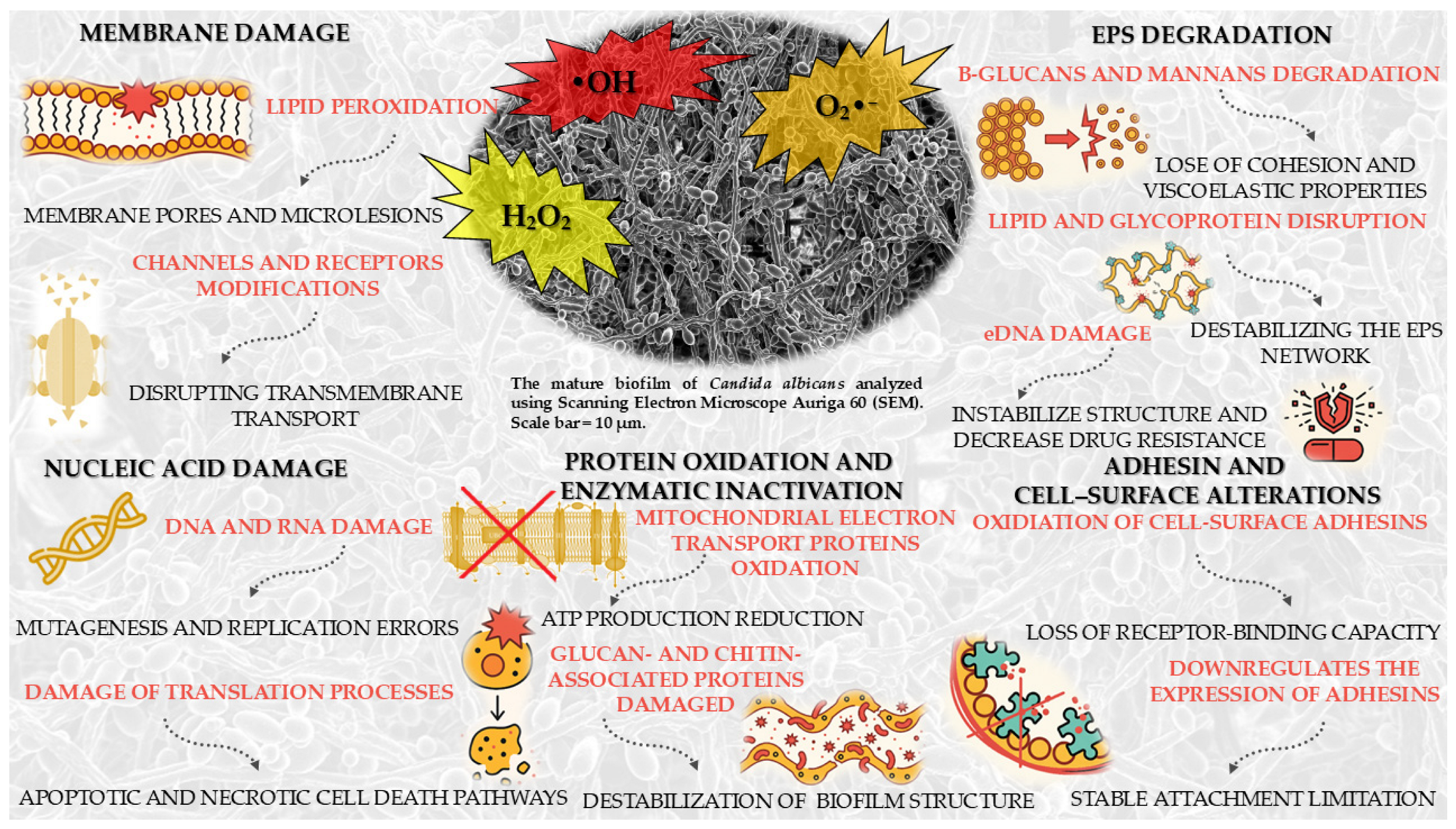 Molecules 30 04500 g003