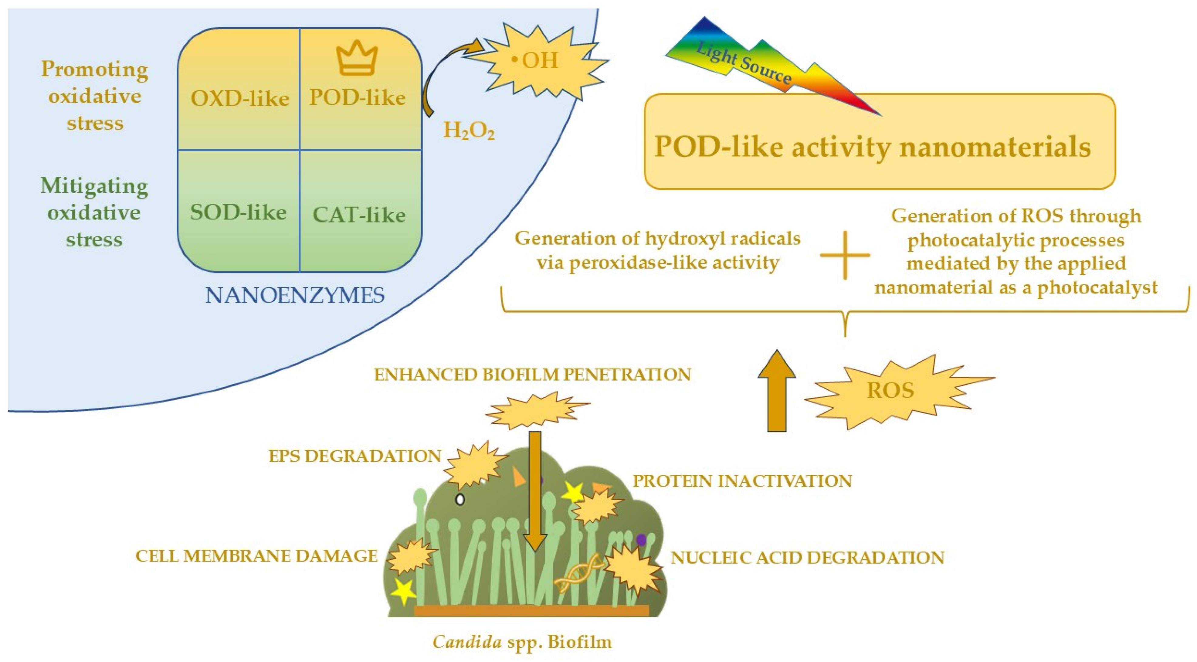 Molecules 30 04500 g005