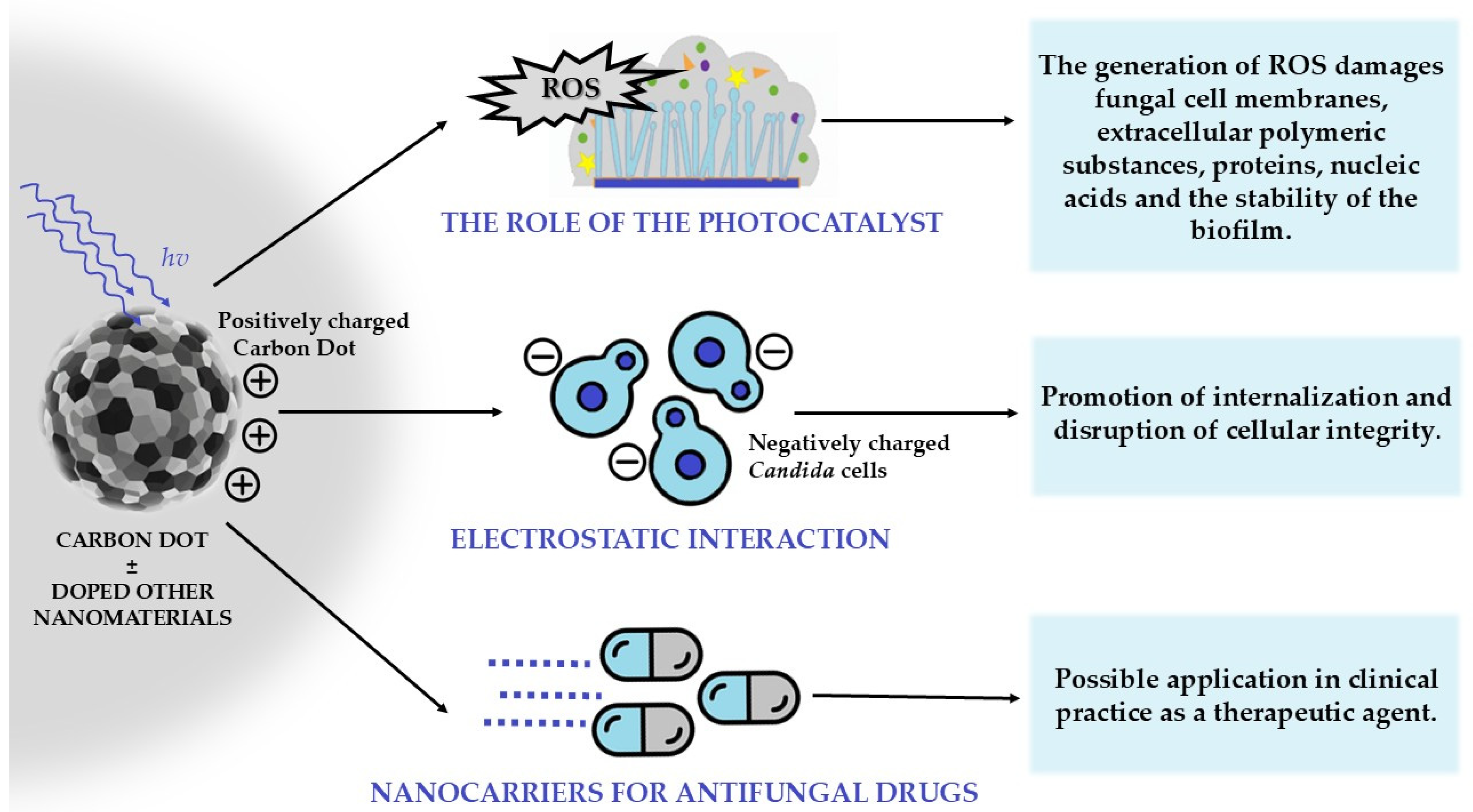 Molecules 30 04500 g006