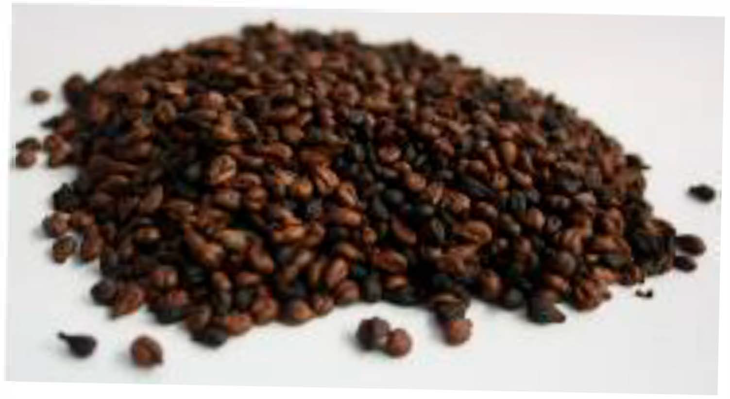 Molecules 30 04505 g001